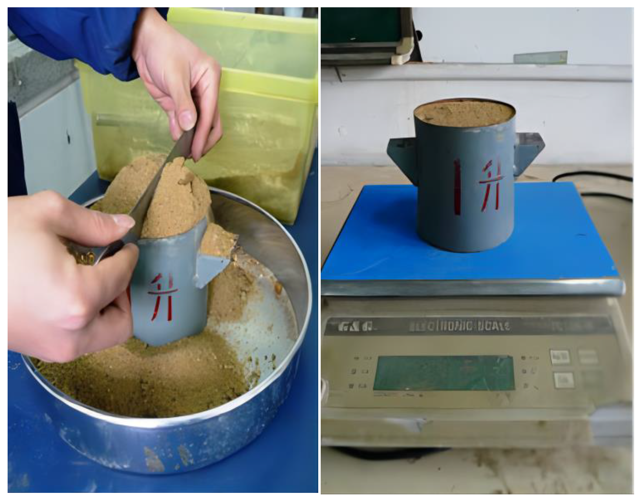 Coatings 13 00327 g004