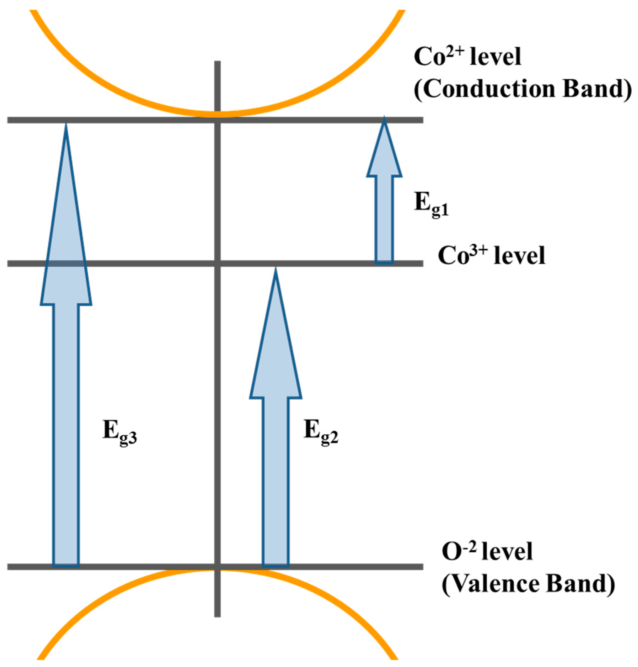 Coatings 13 00328 g005