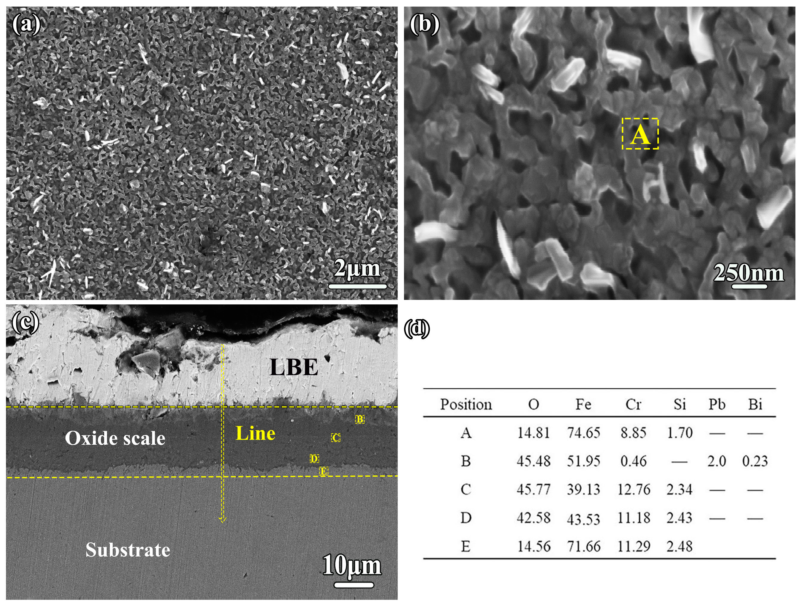 Coatings 13 00332 g006