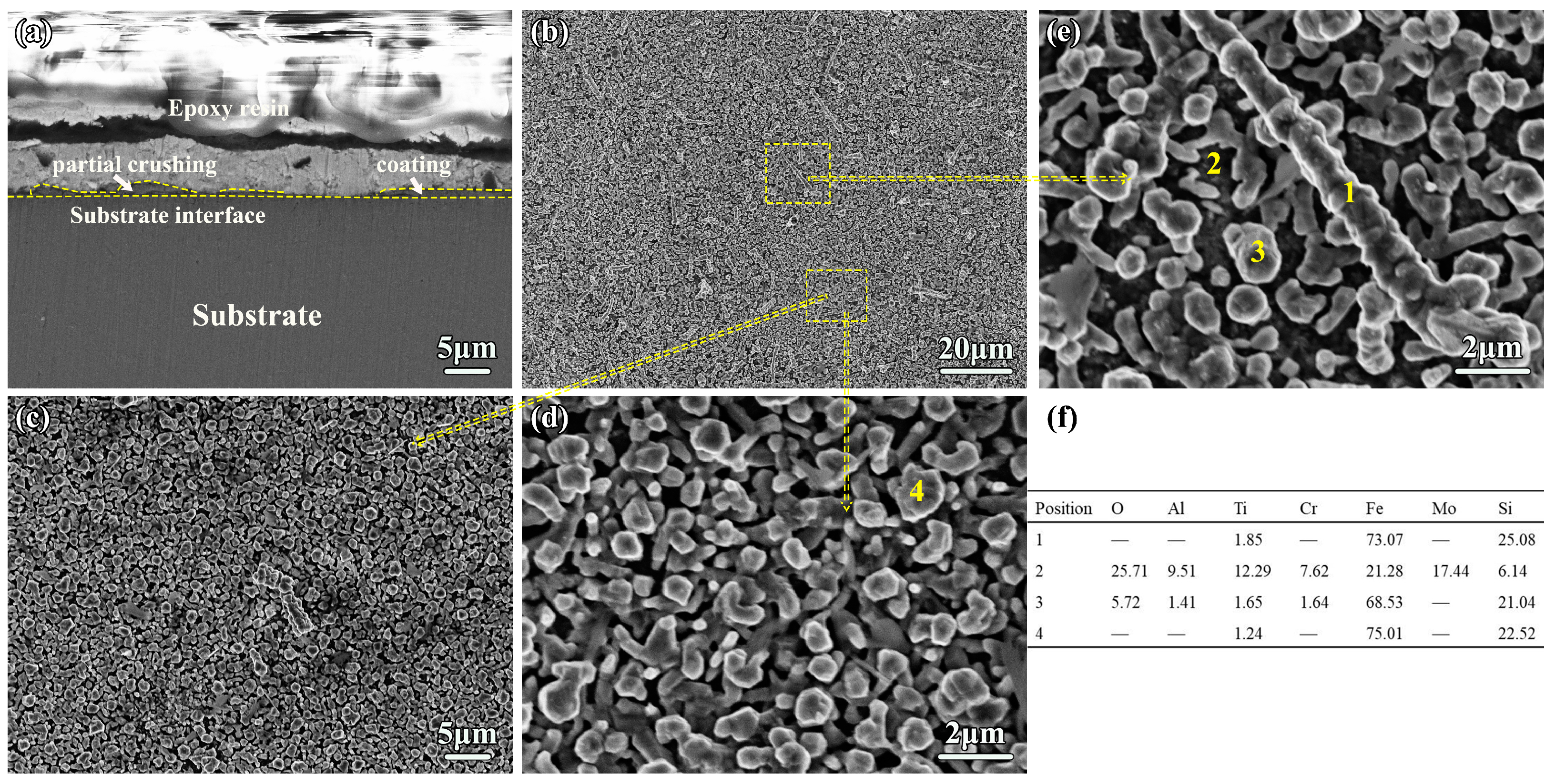 Coatings 13 00332 g011