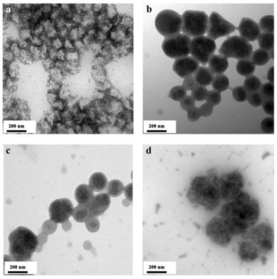 Coatings 13 00334 g002