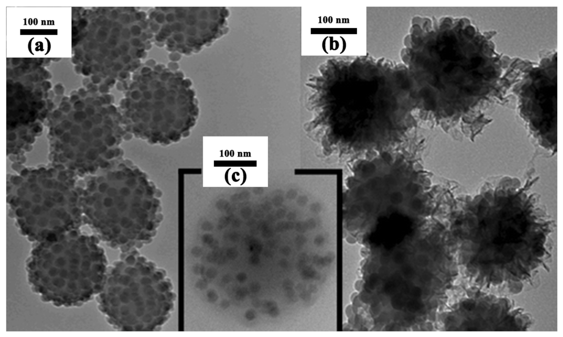 Coatings 13 00334 g003