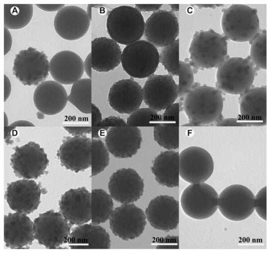 Coatings 13 00334 g005