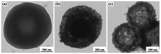 Coatings 13 00334 g007