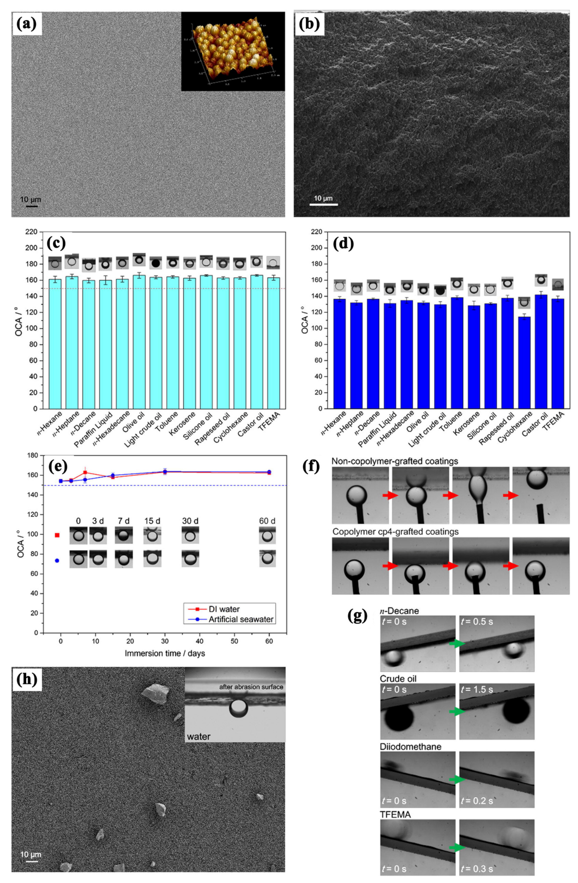 Coatings 13 00334 g014
