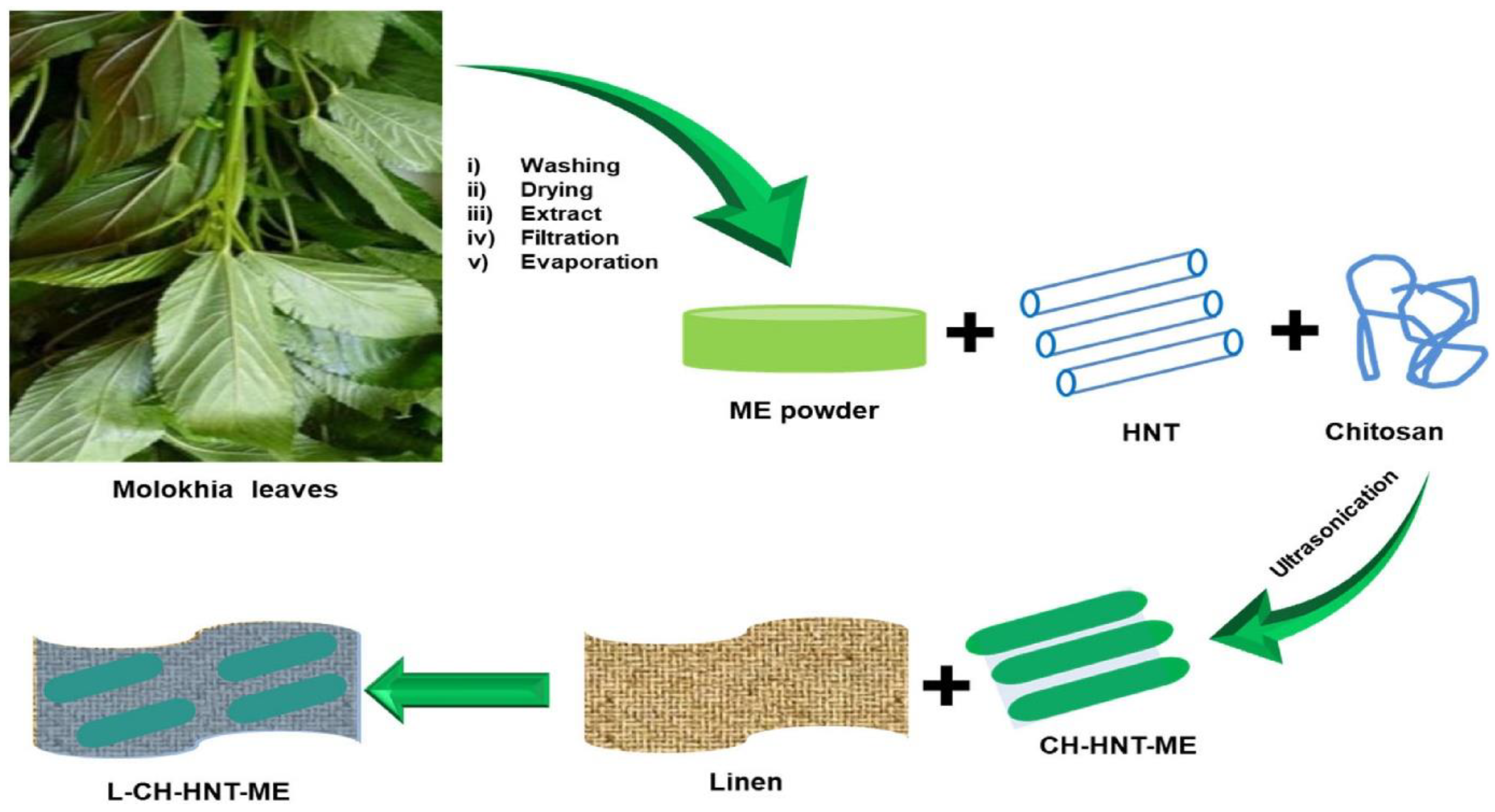 Coatings 13 00336 g001