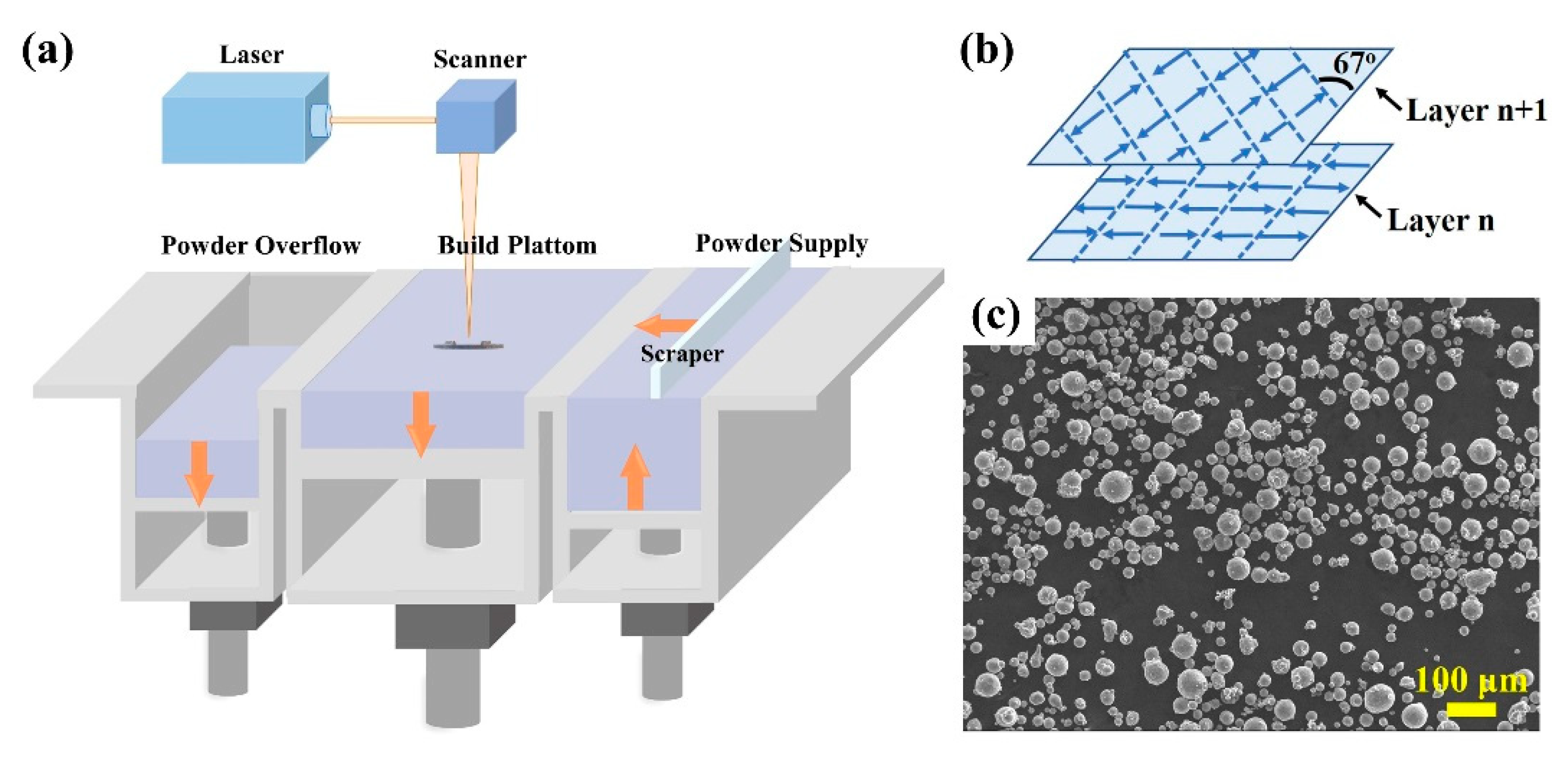 Coatings 13 00337 g001