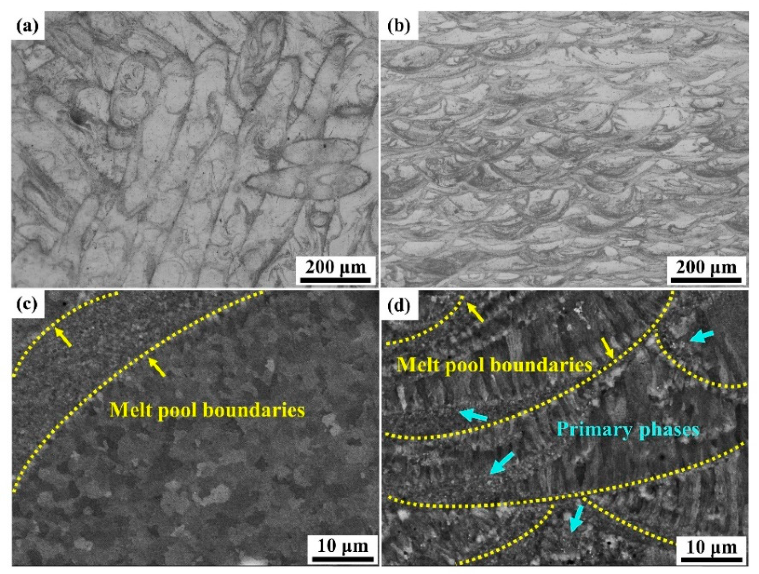 Coatings 13 00337 g004