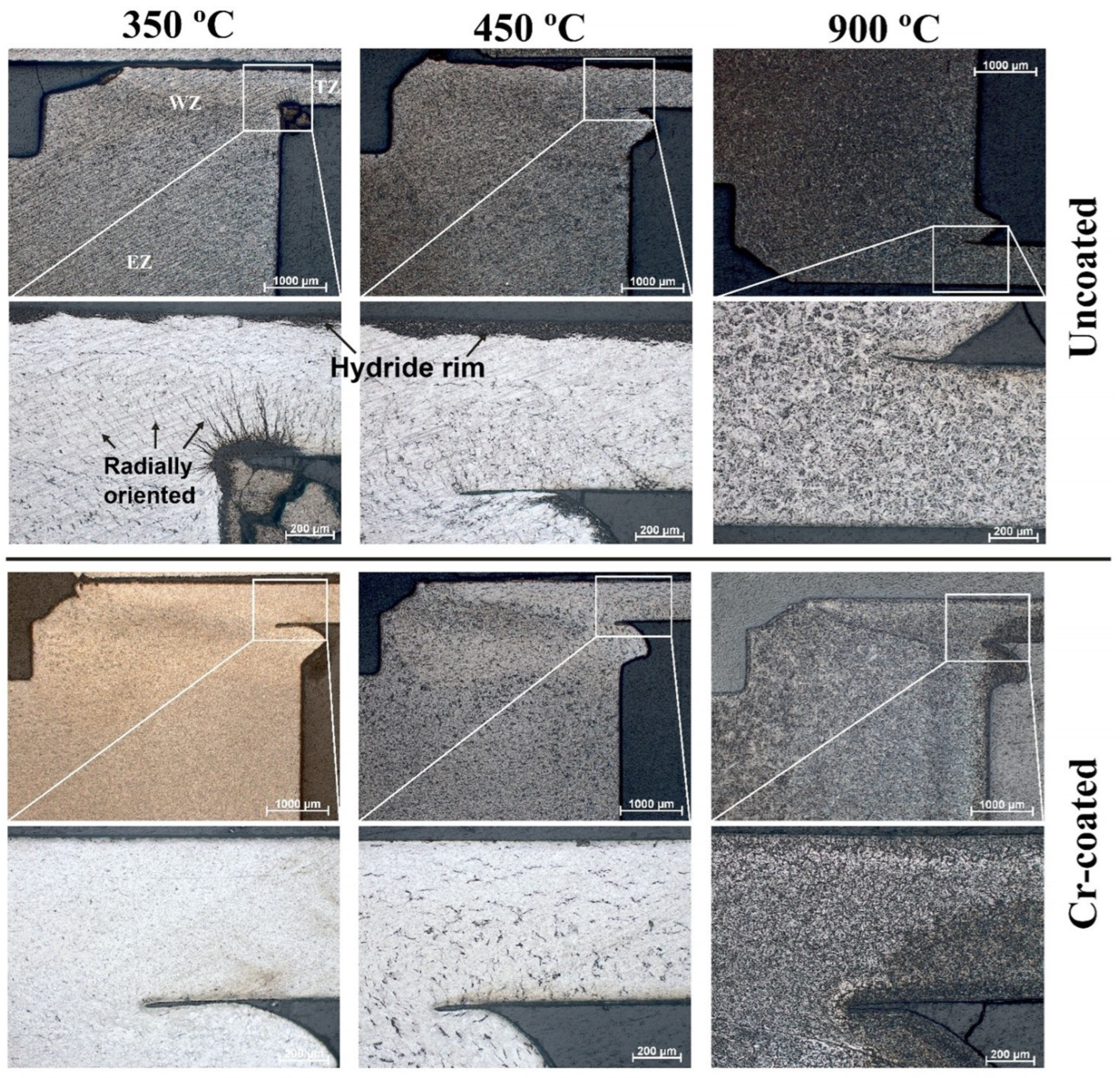 Coatings 13 00339 g004