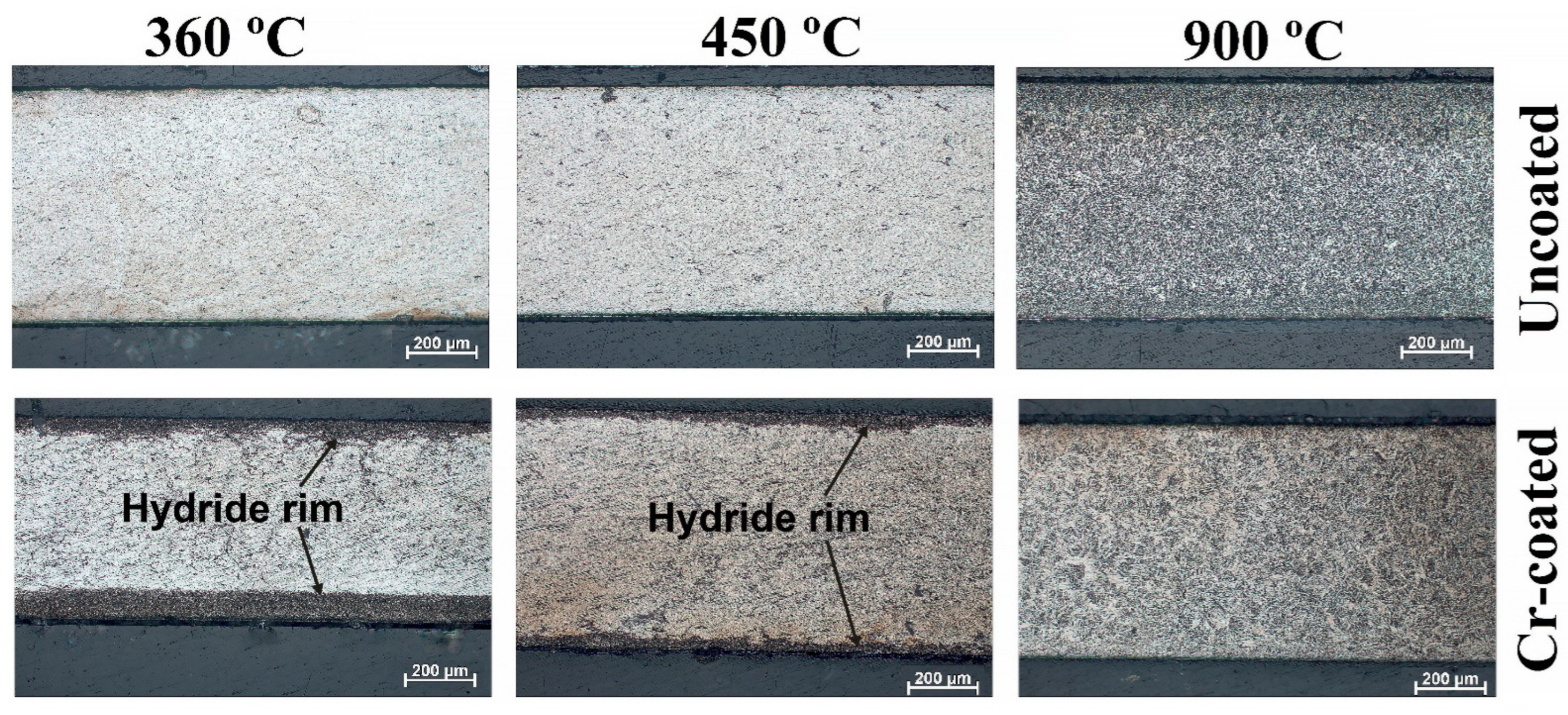 Coatings 13 00339 g005