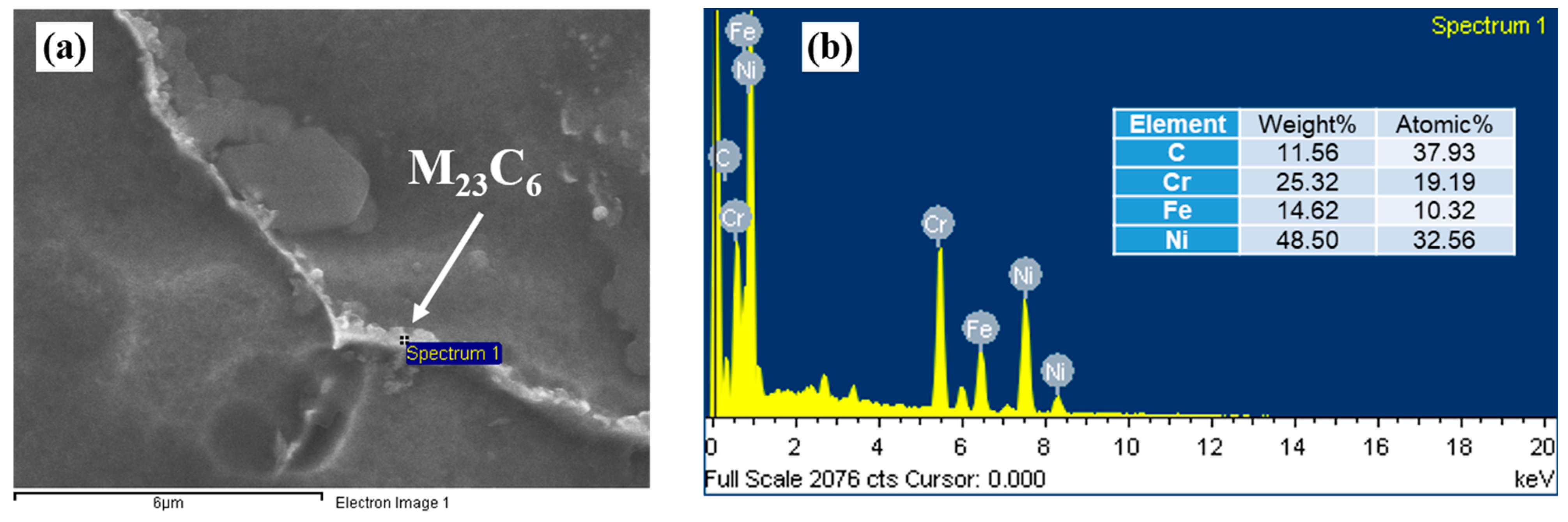 Coatings 13 00340 g005