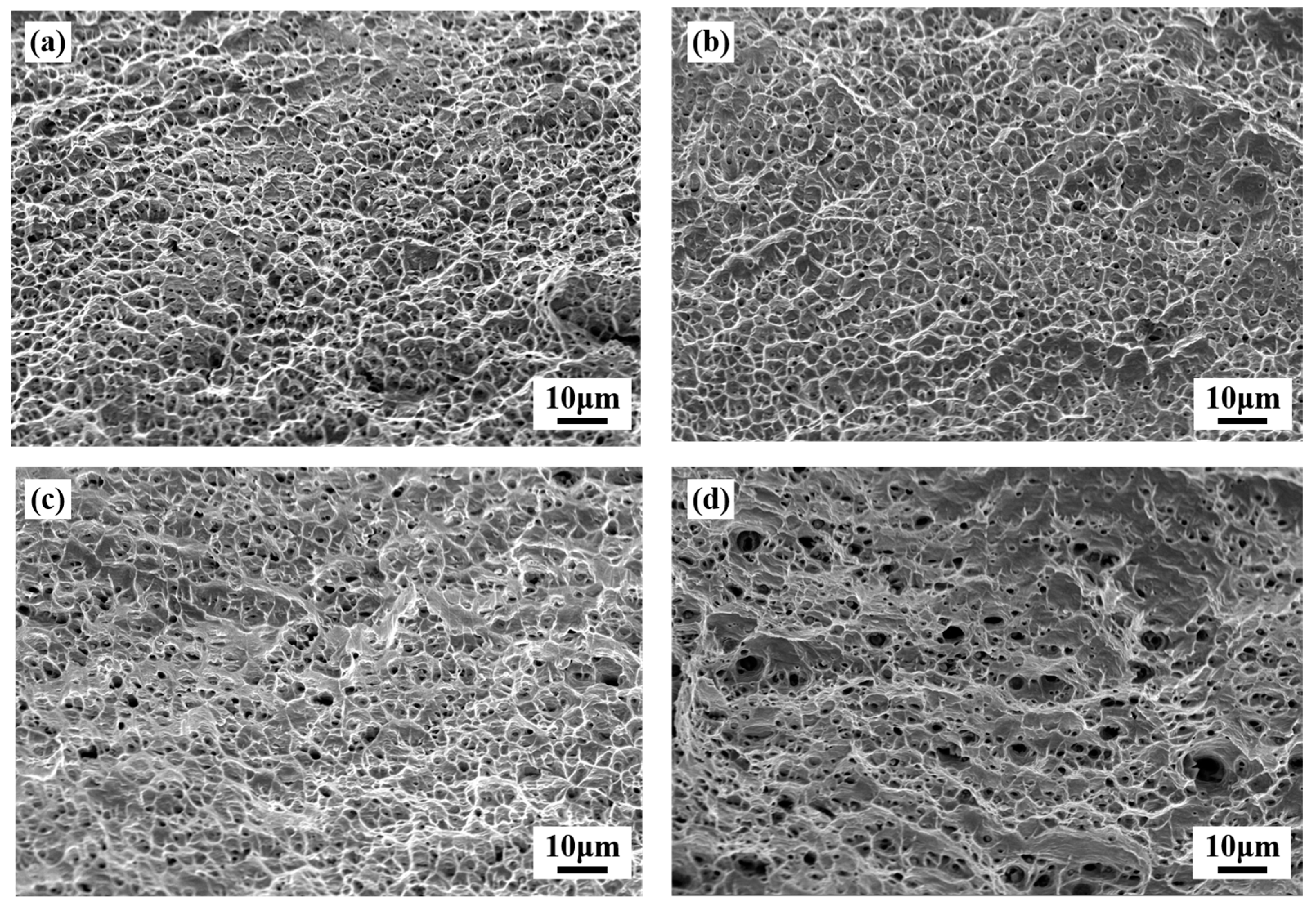 Coatings 13 00340 g009