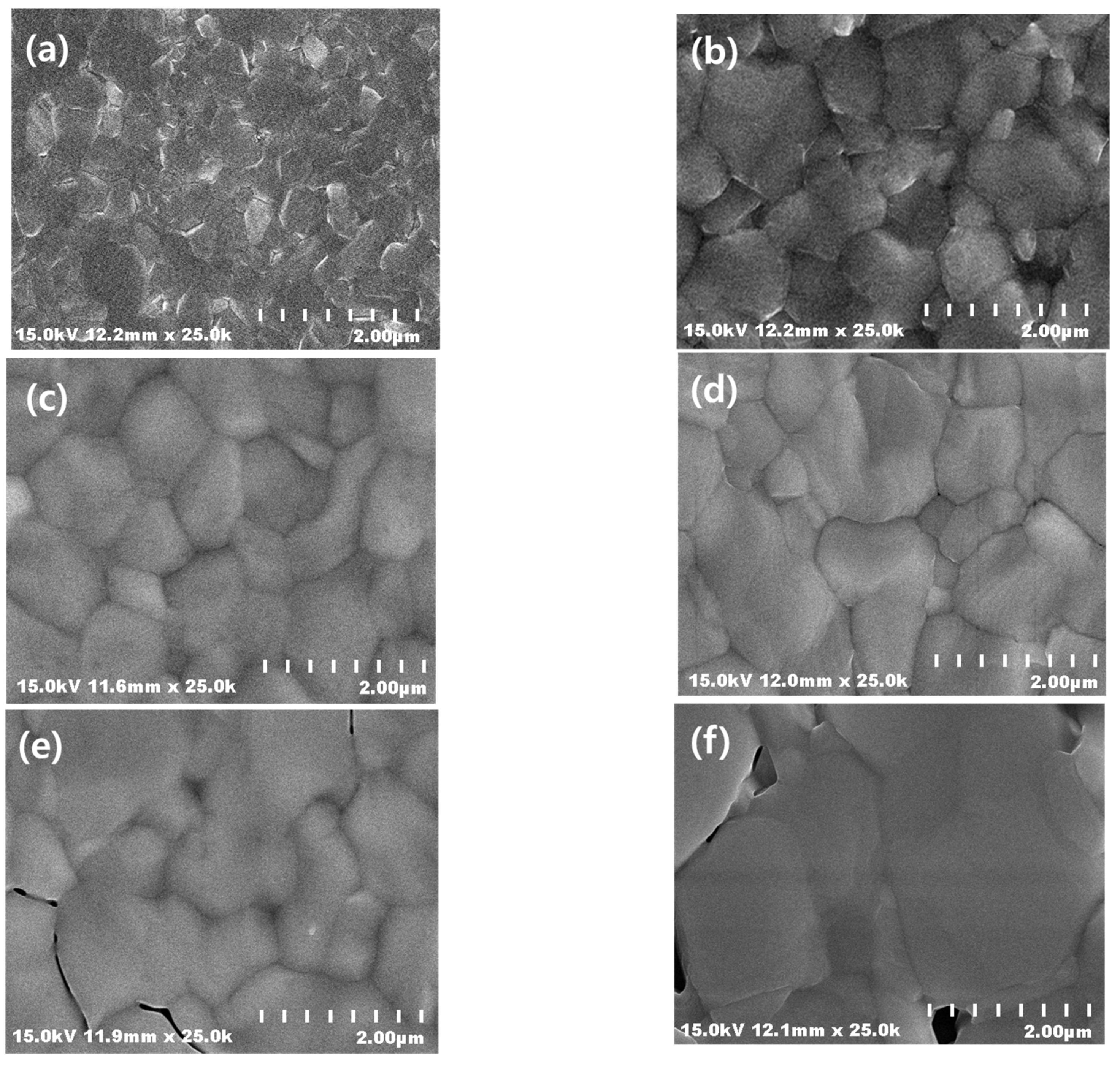 Coatings 13 00341 g002a