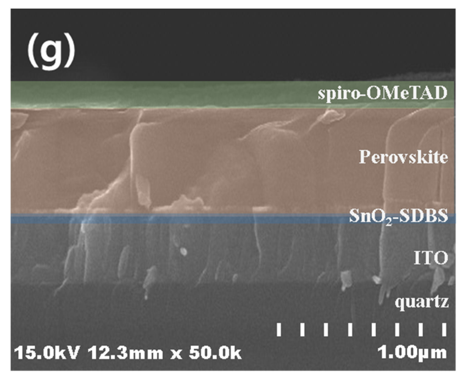 Coatings 13 00341 g002b