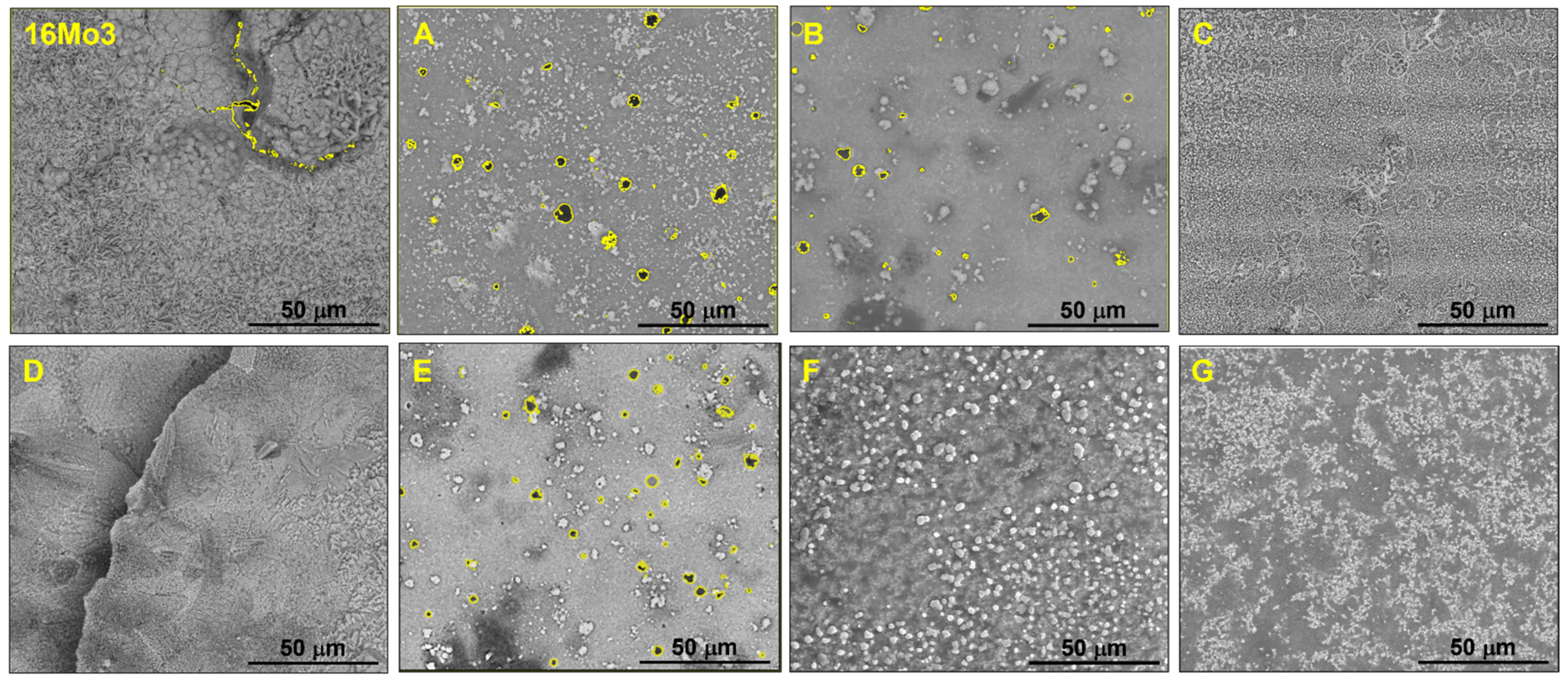 Coatings 13 00342 g005