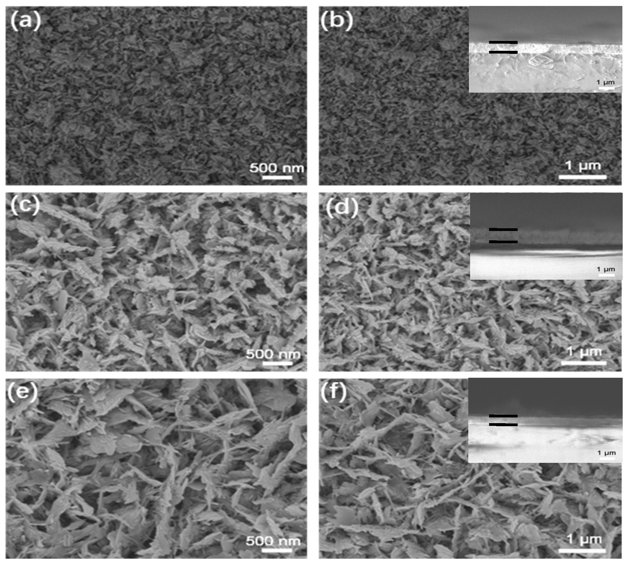 Coatings 13 00344 g002