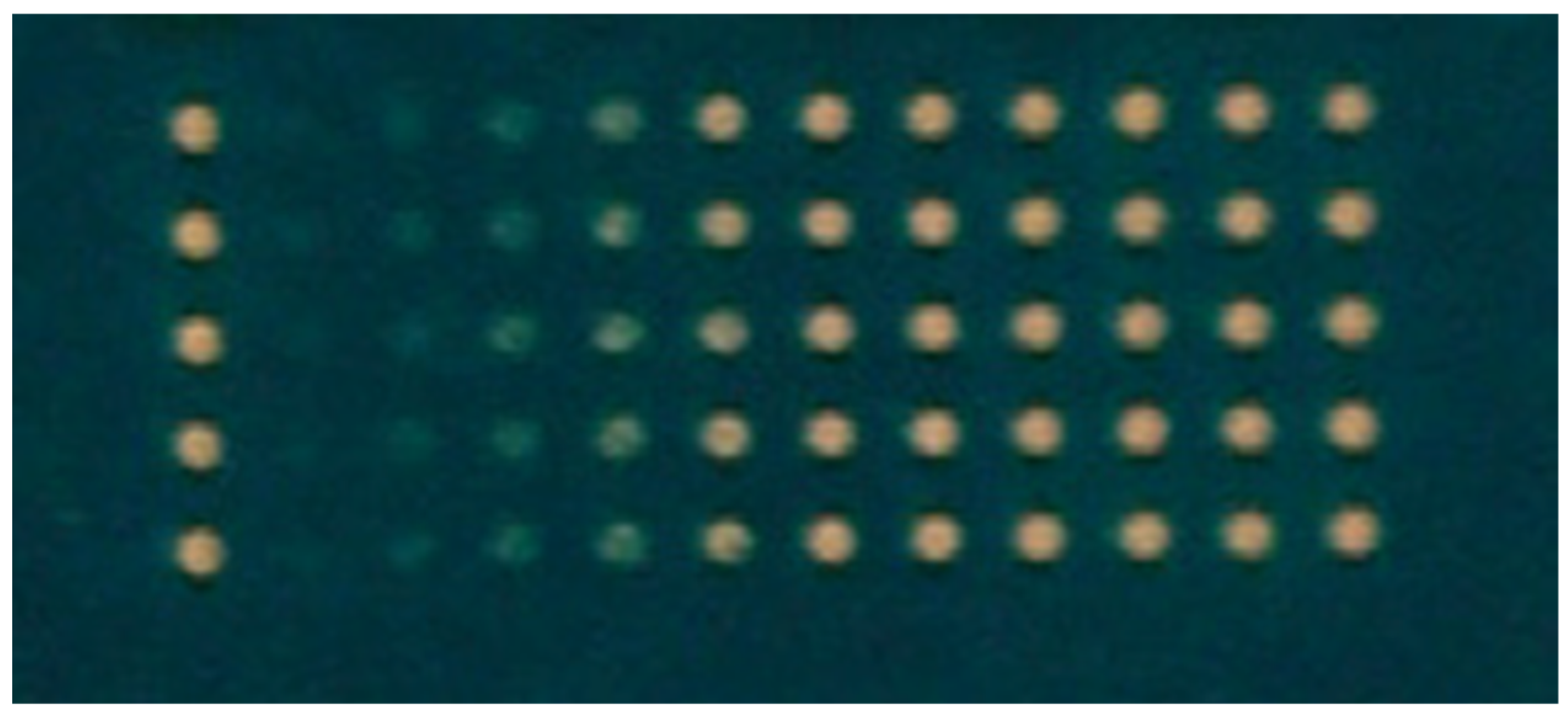 Coatings 13 00346 g002