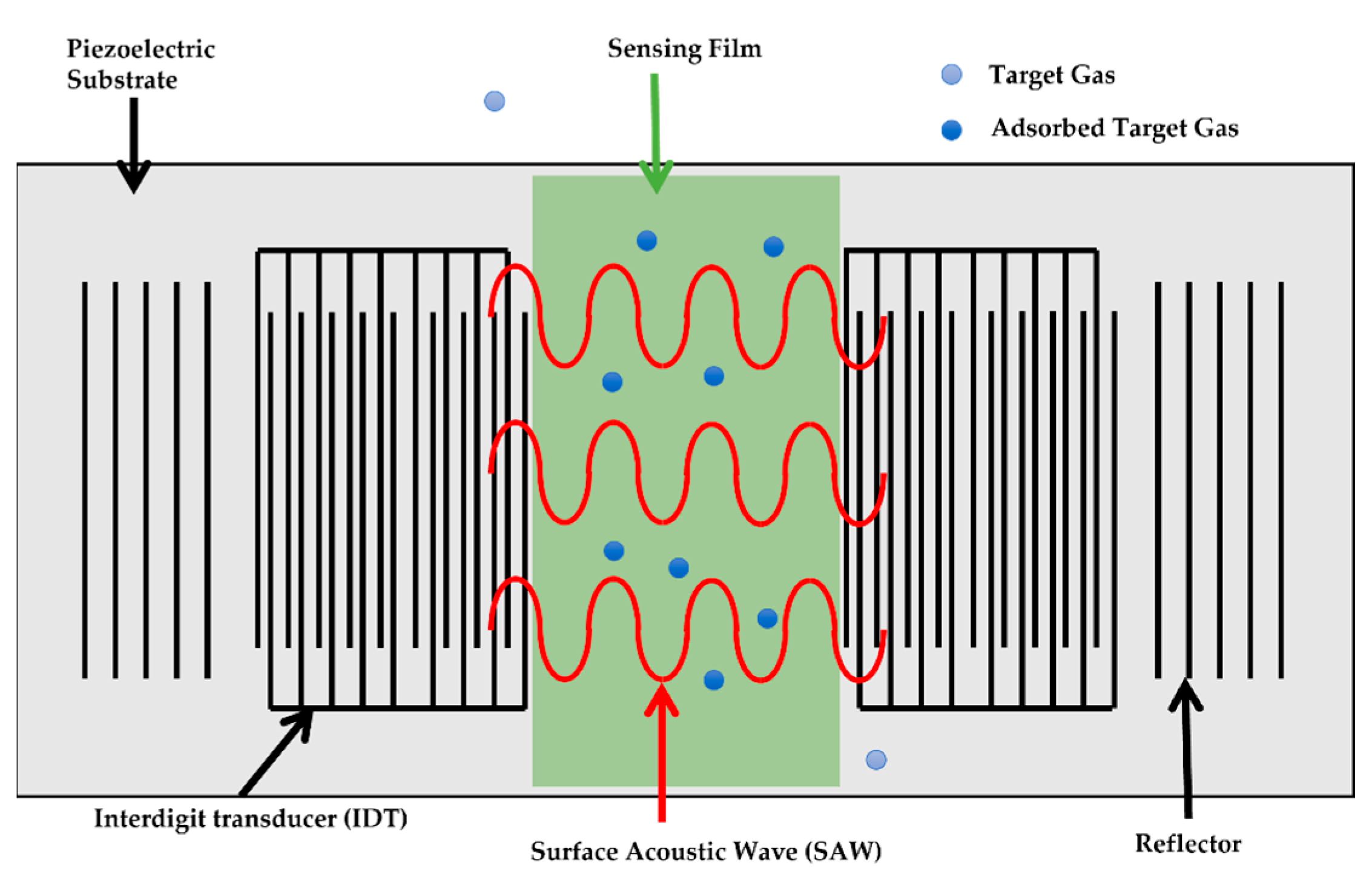Coatings 13 00348 g001
