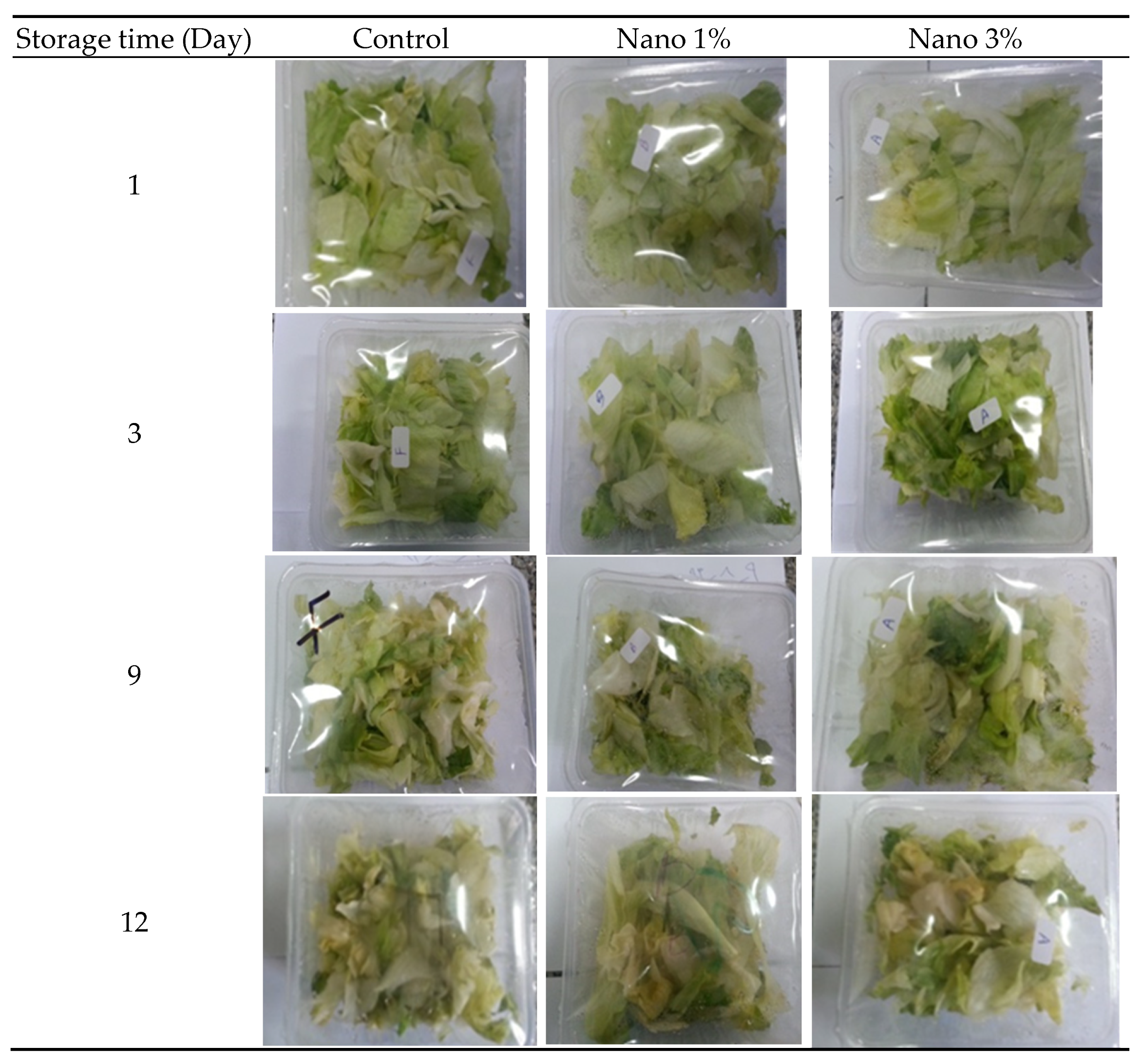 Coatings 13 00349 g002 Coatings 13 00349 g002