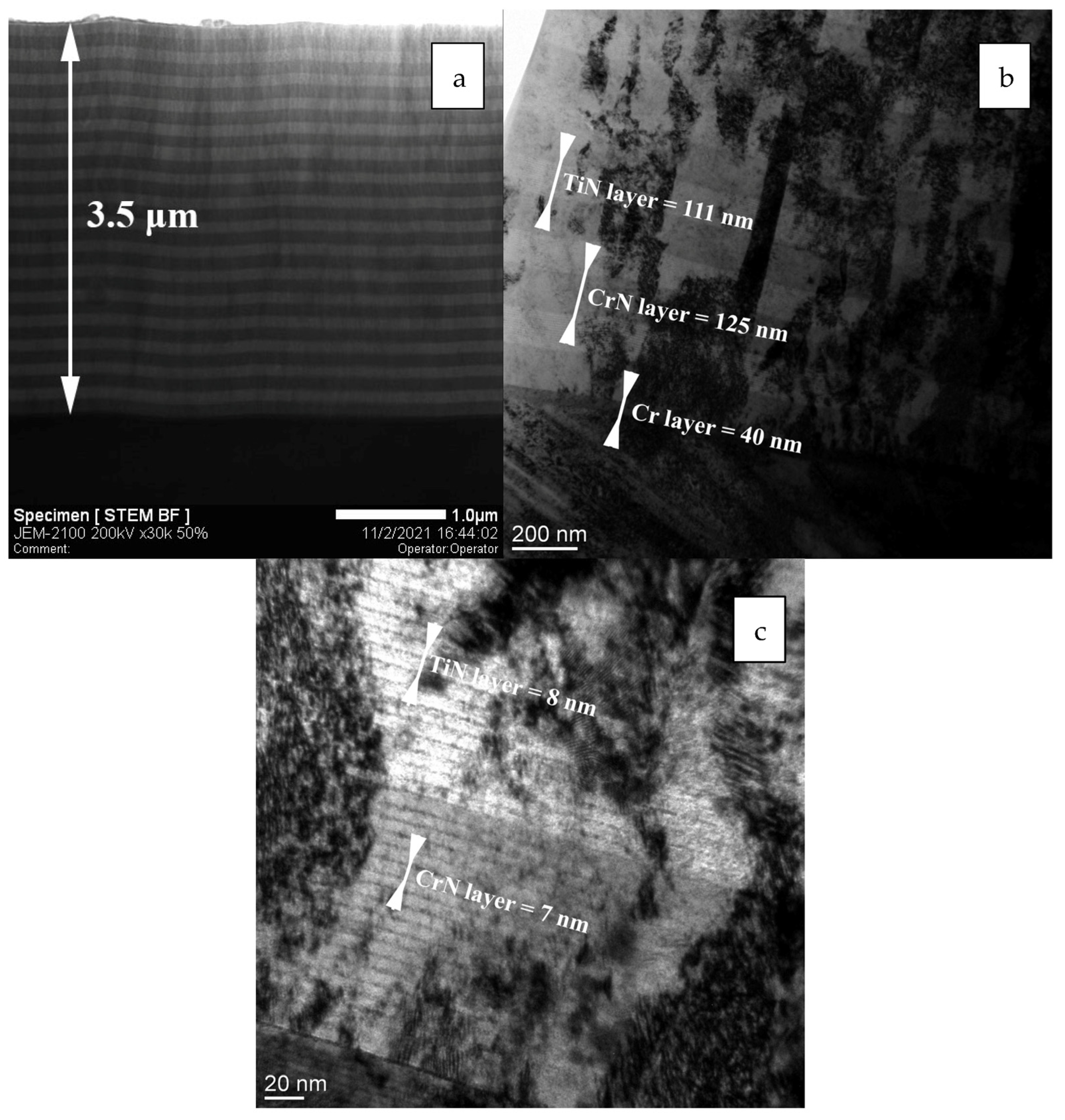 Coatings 13 00351 g001