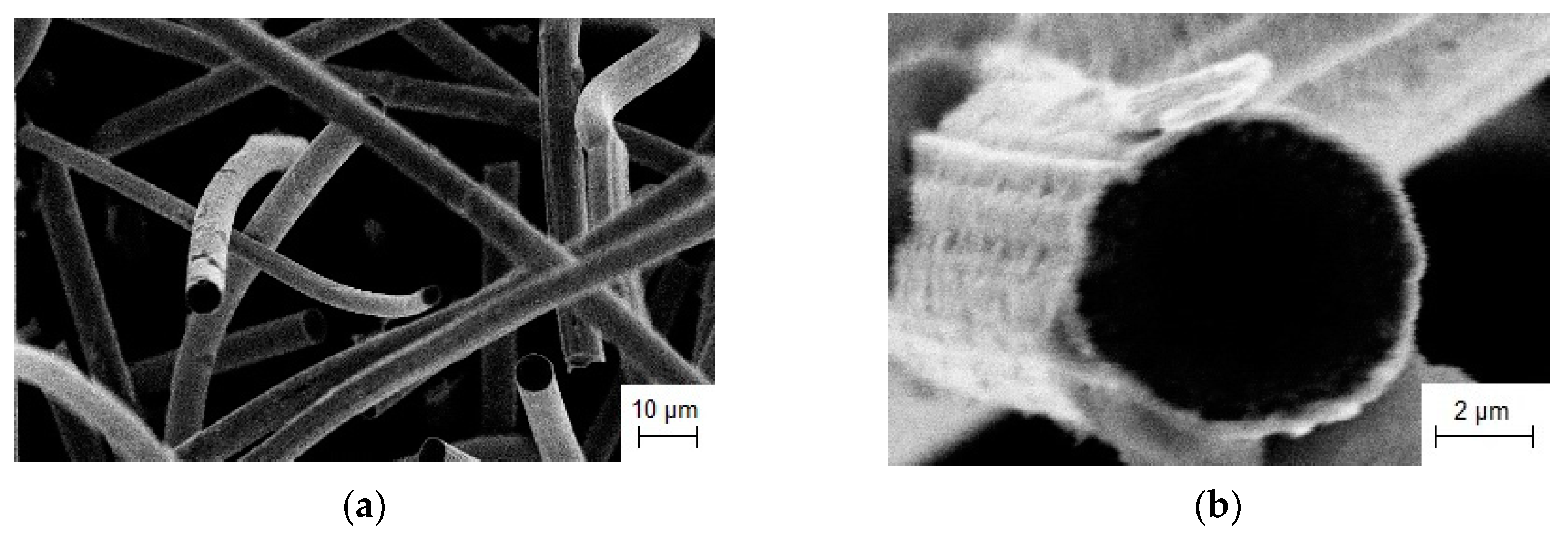 Coatings 13 00352 g010