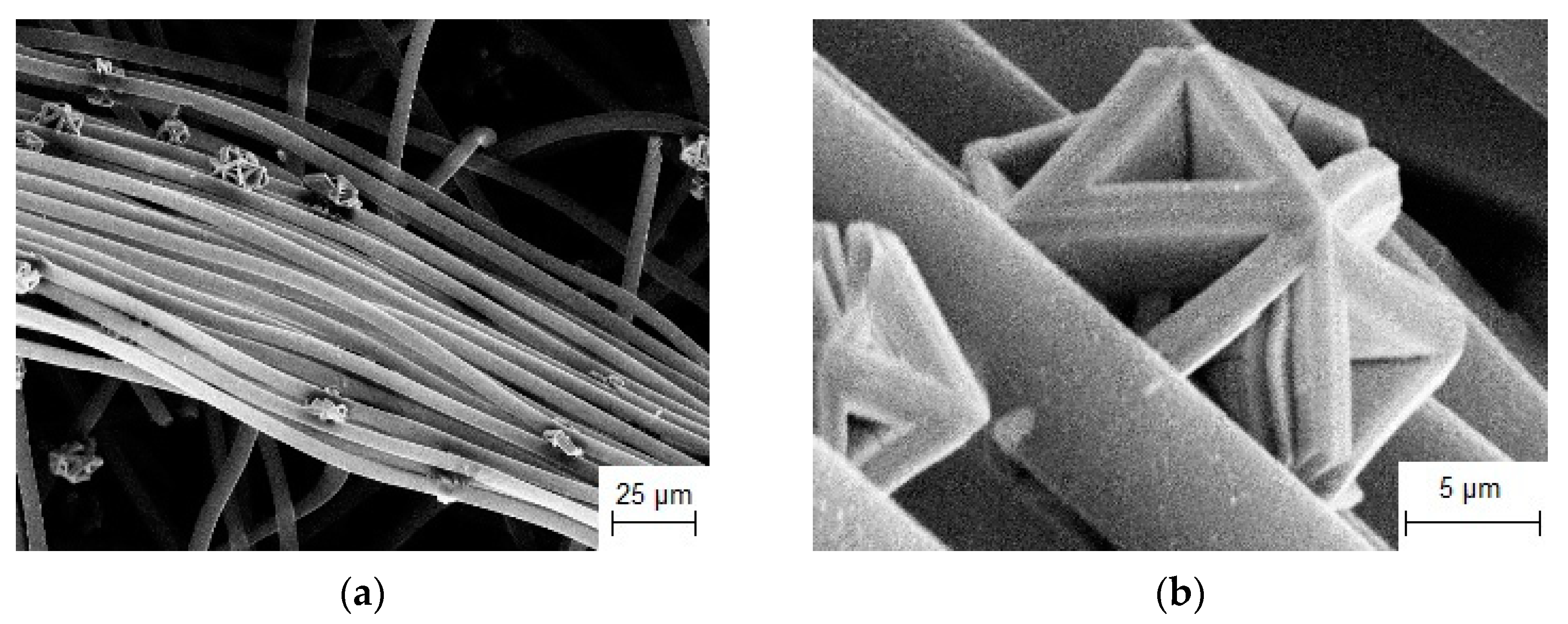Coatings 13 00352 g012