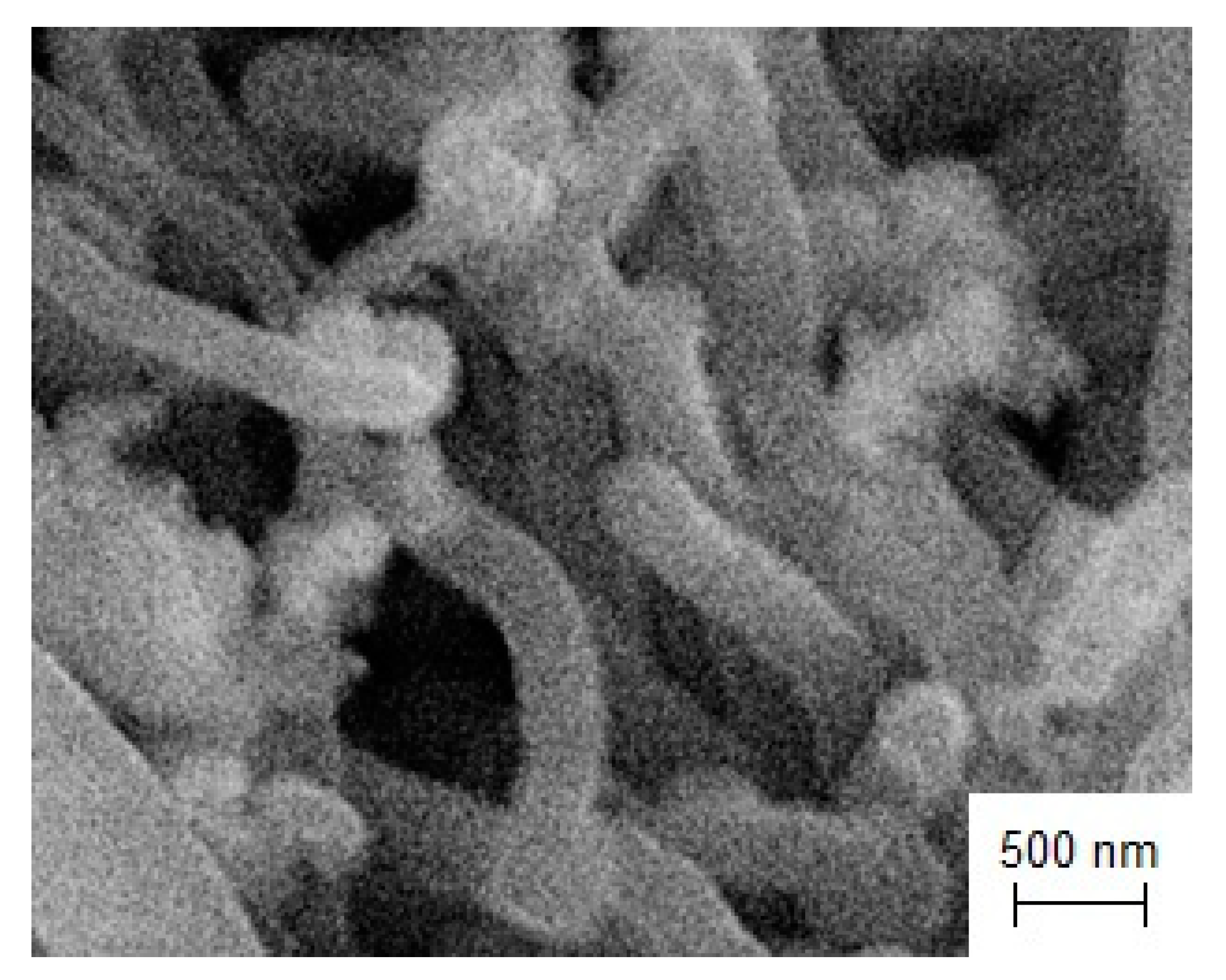 Coatings 13 00352 g015