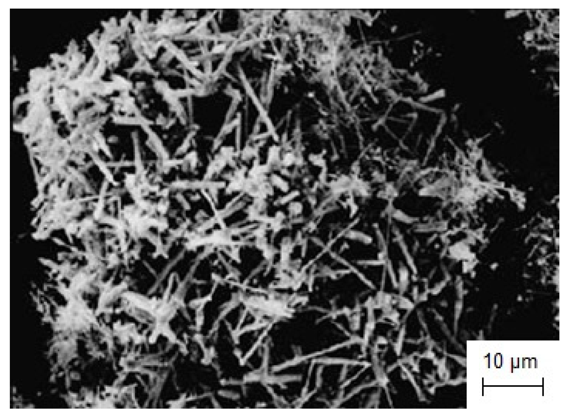 Coatings 13 00352 g017