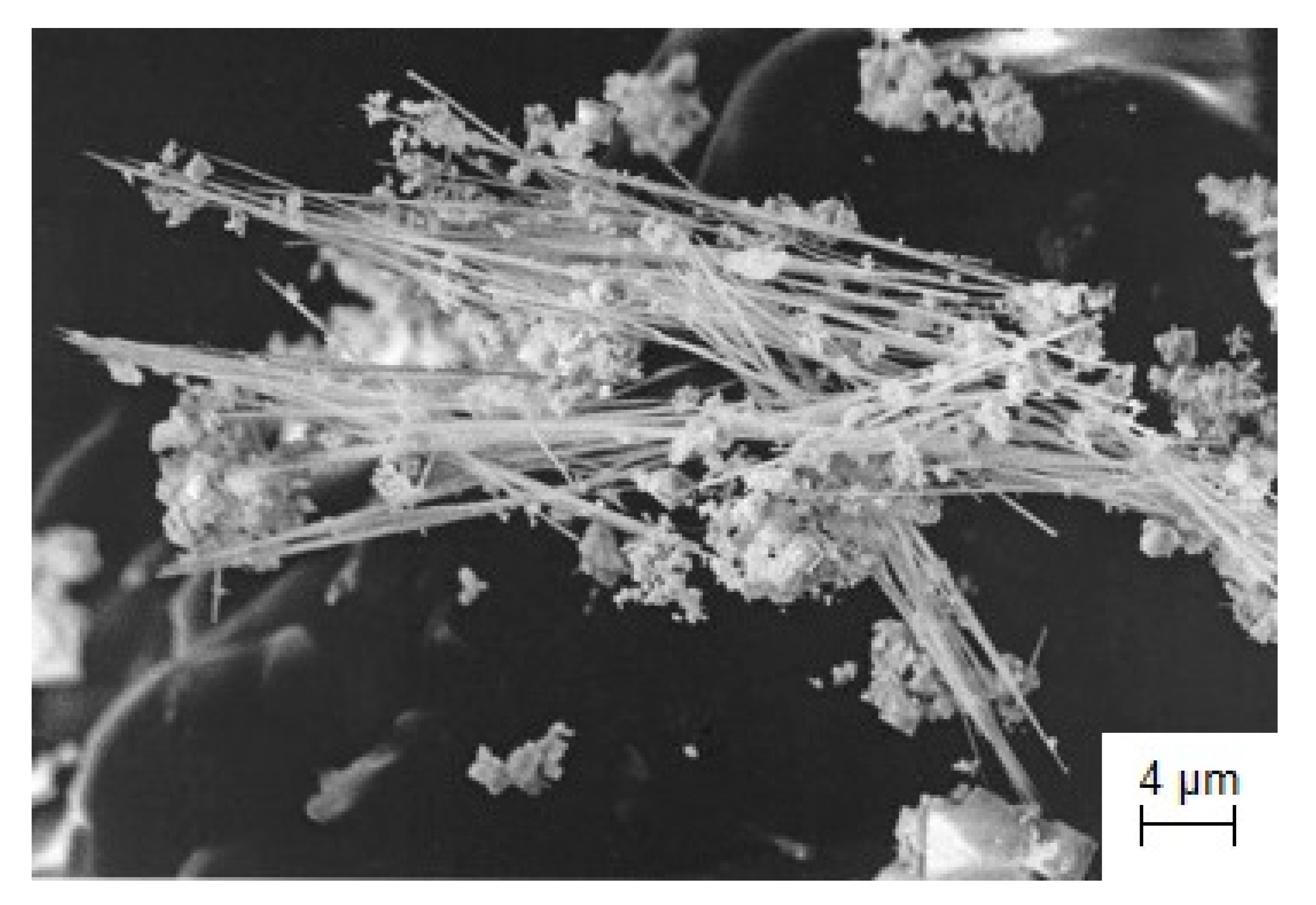 Coatings 13 00352 g020