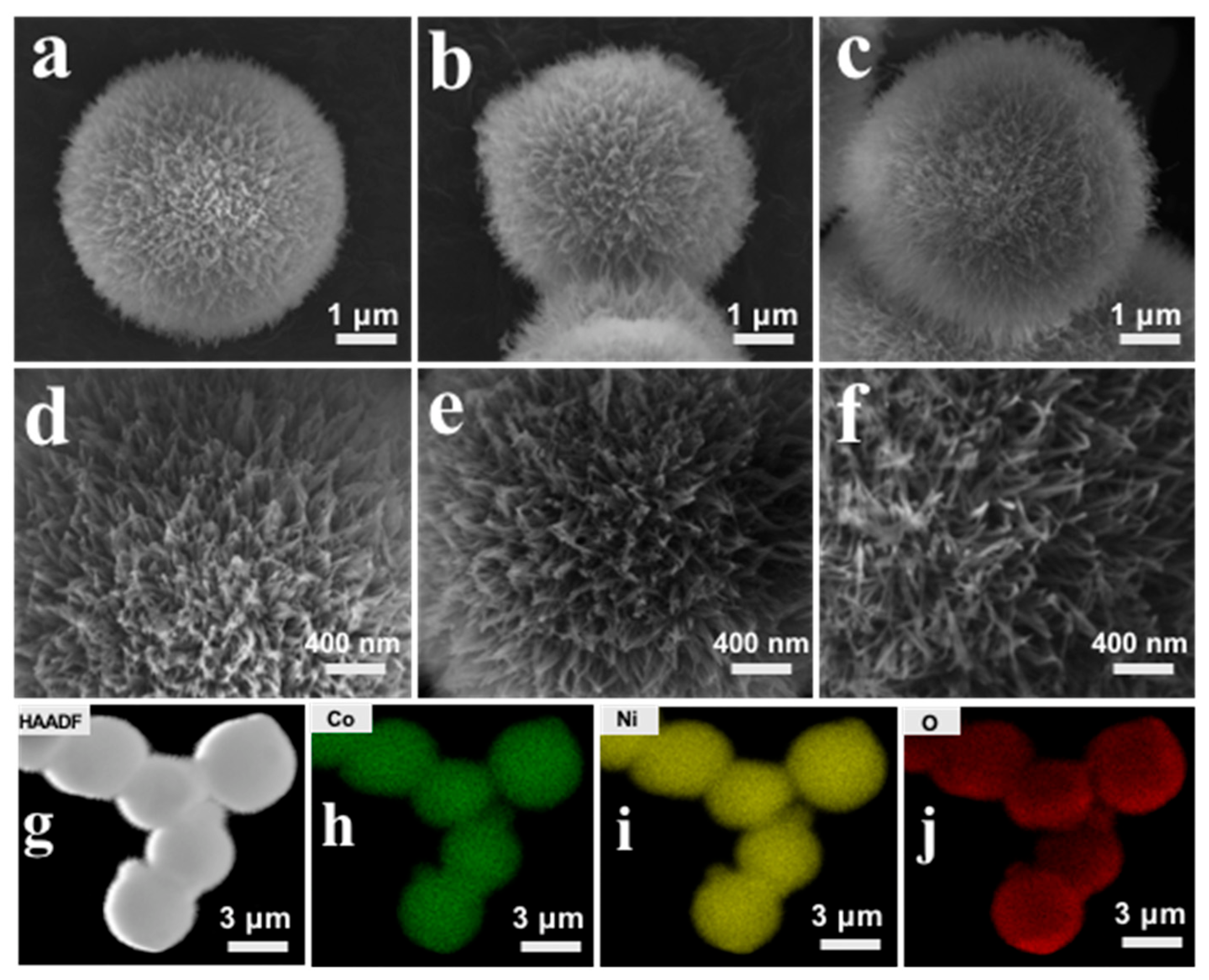 Coatings 13 00353 g001