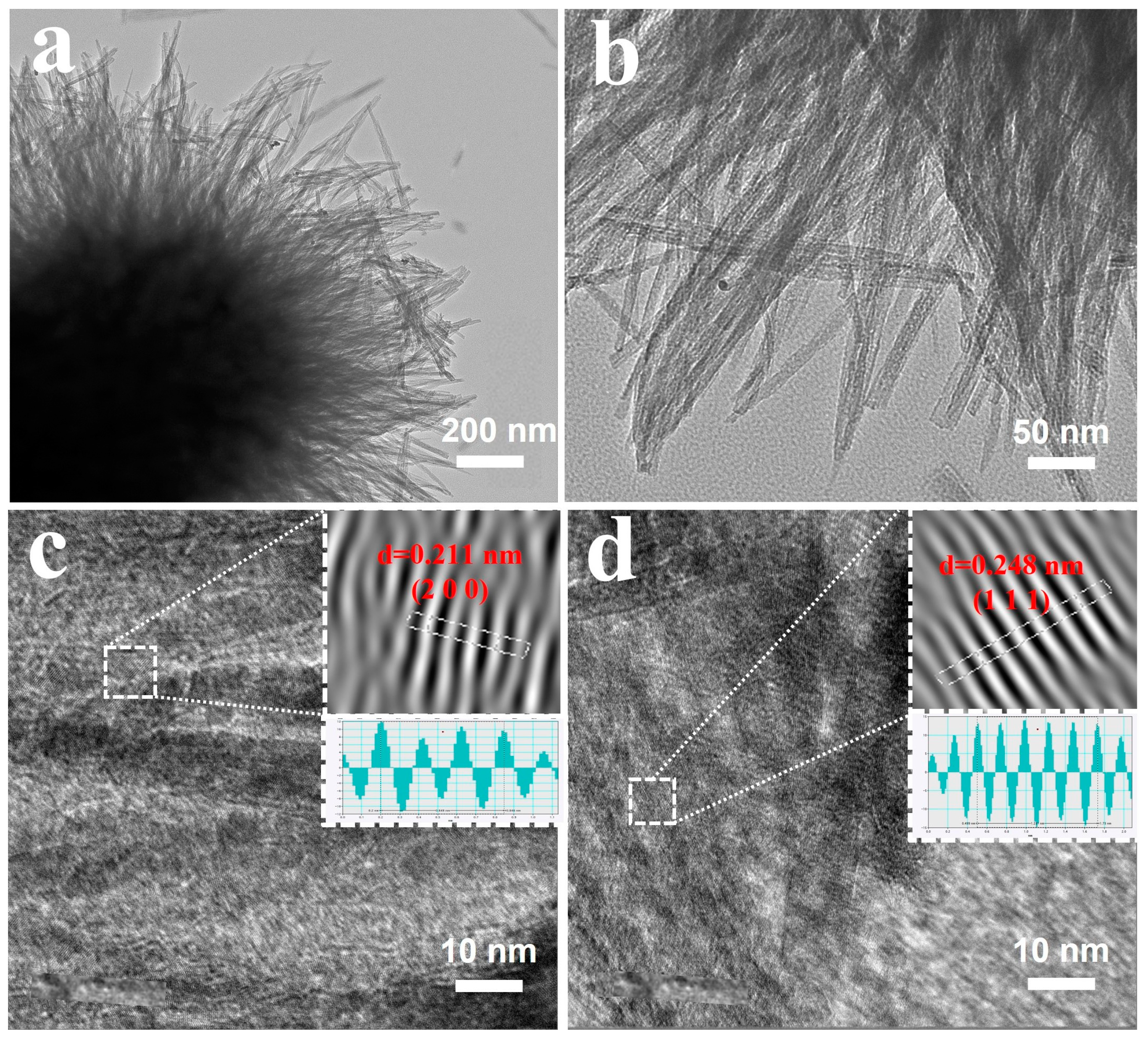Coatings 13 00353 g002