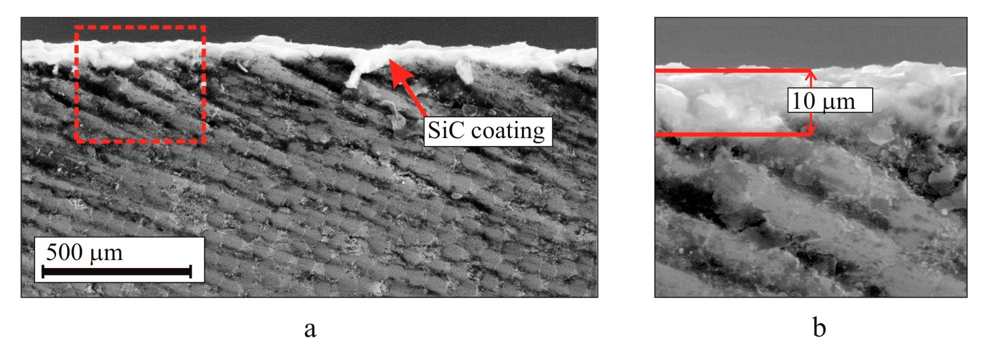 Coatings 13 00354 g004
