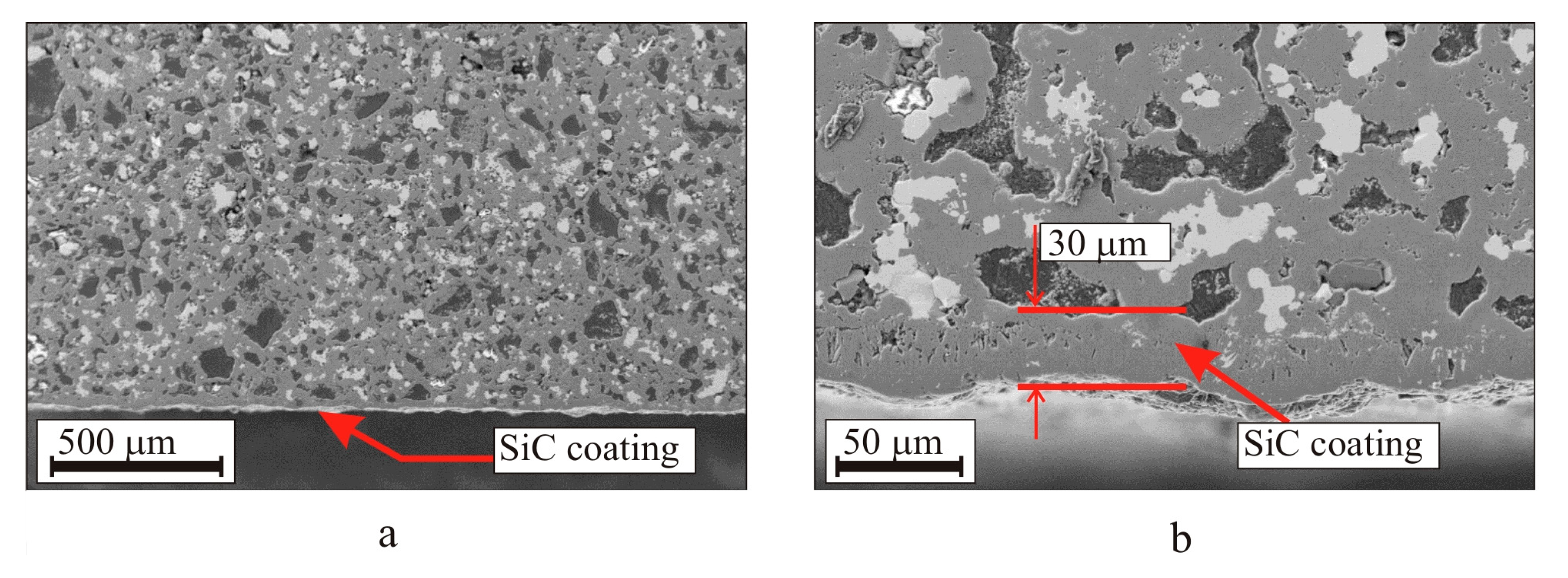 Coatings 13 00354 g013