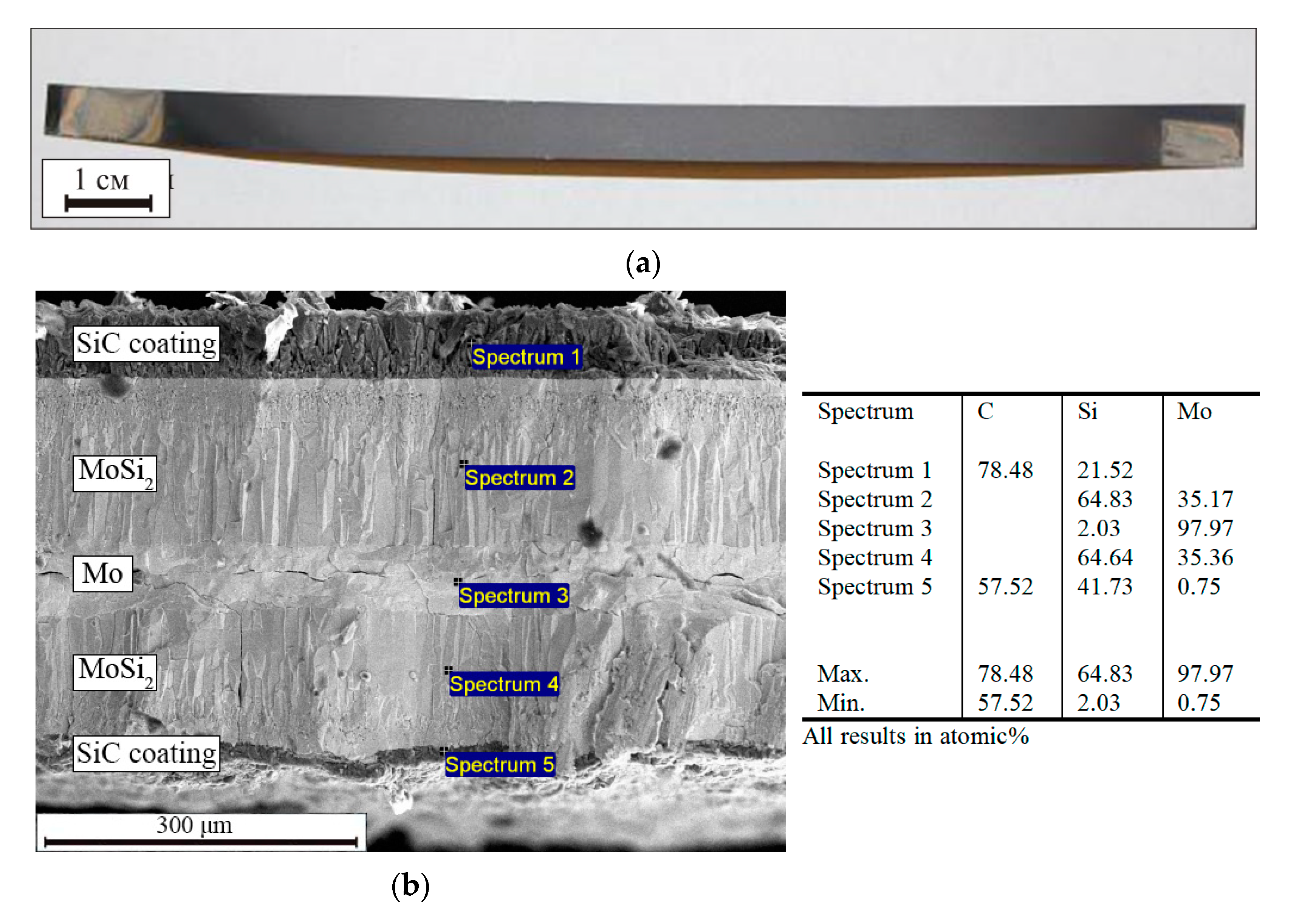 Coatings 13 00354 g017