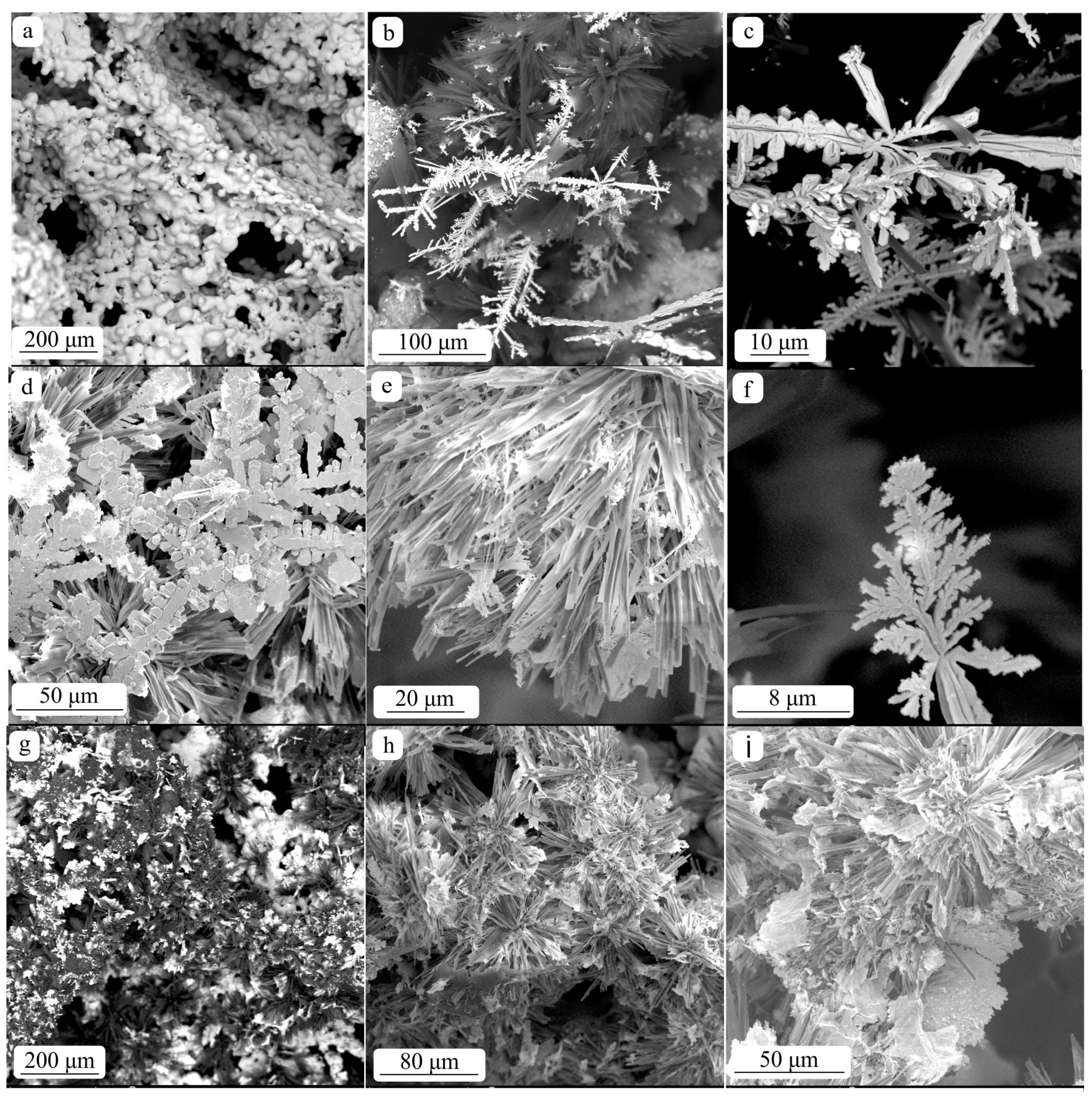 Coatings 13 00355 g005