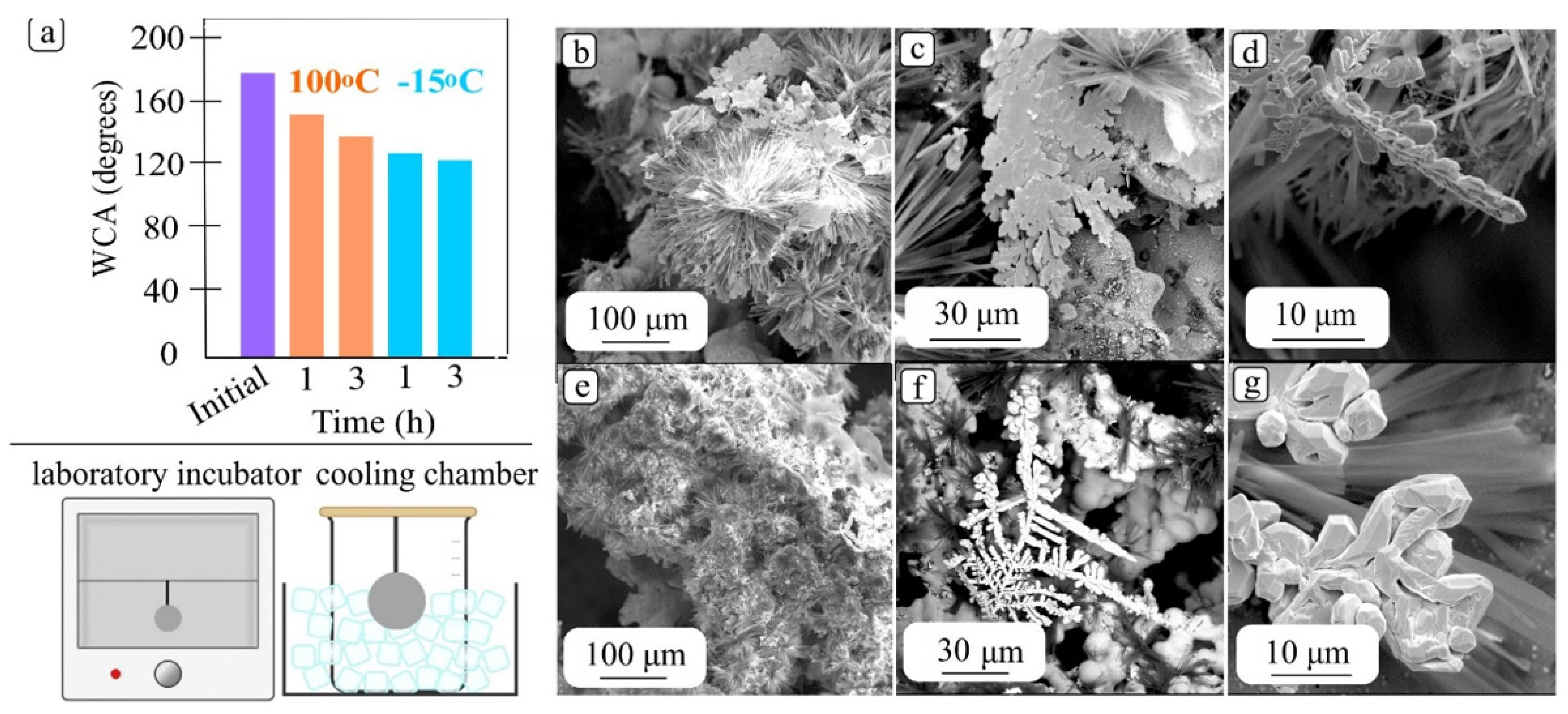 Coatings 13 00355 g008