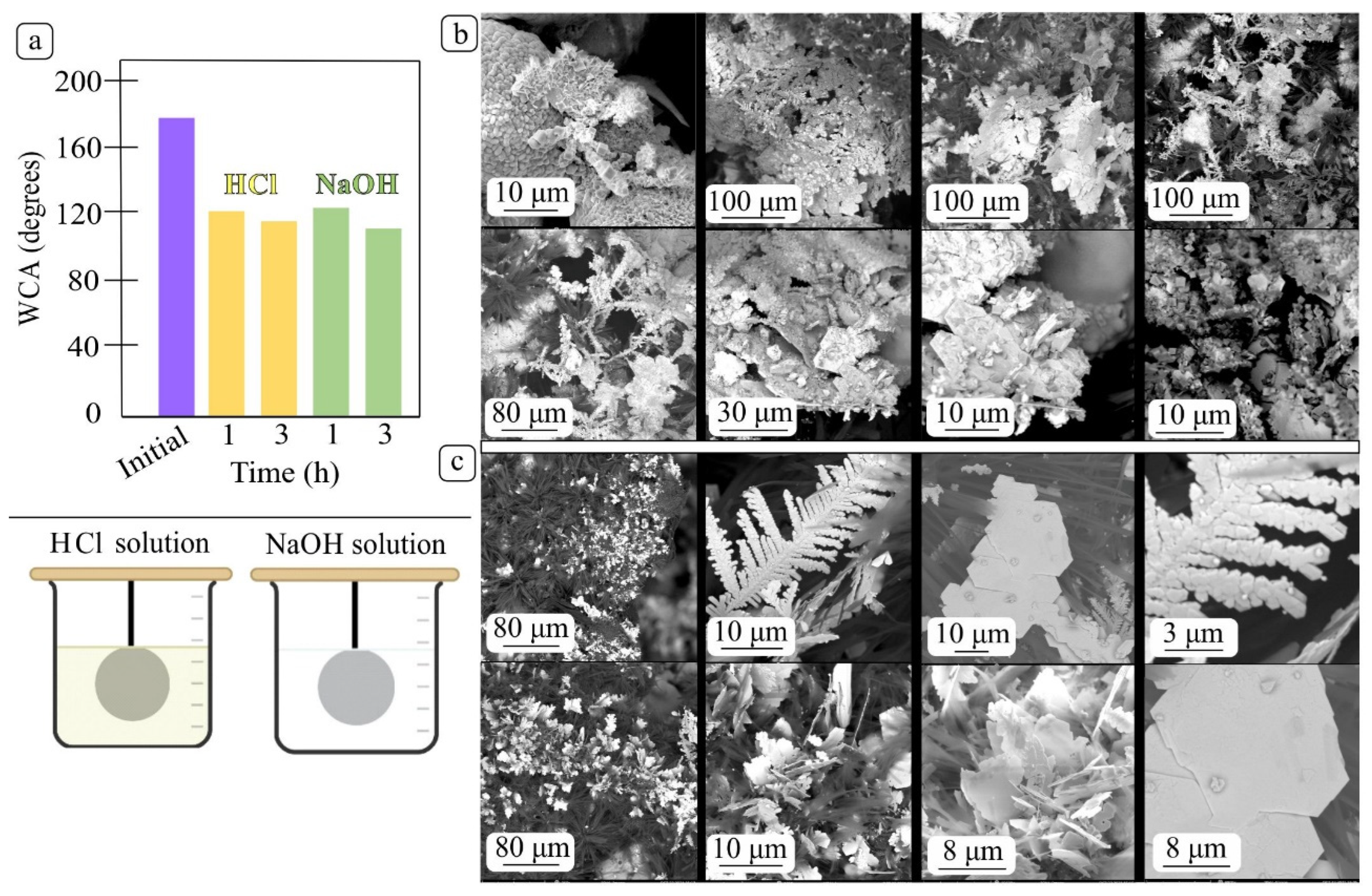 Coatings 13 00355 g009