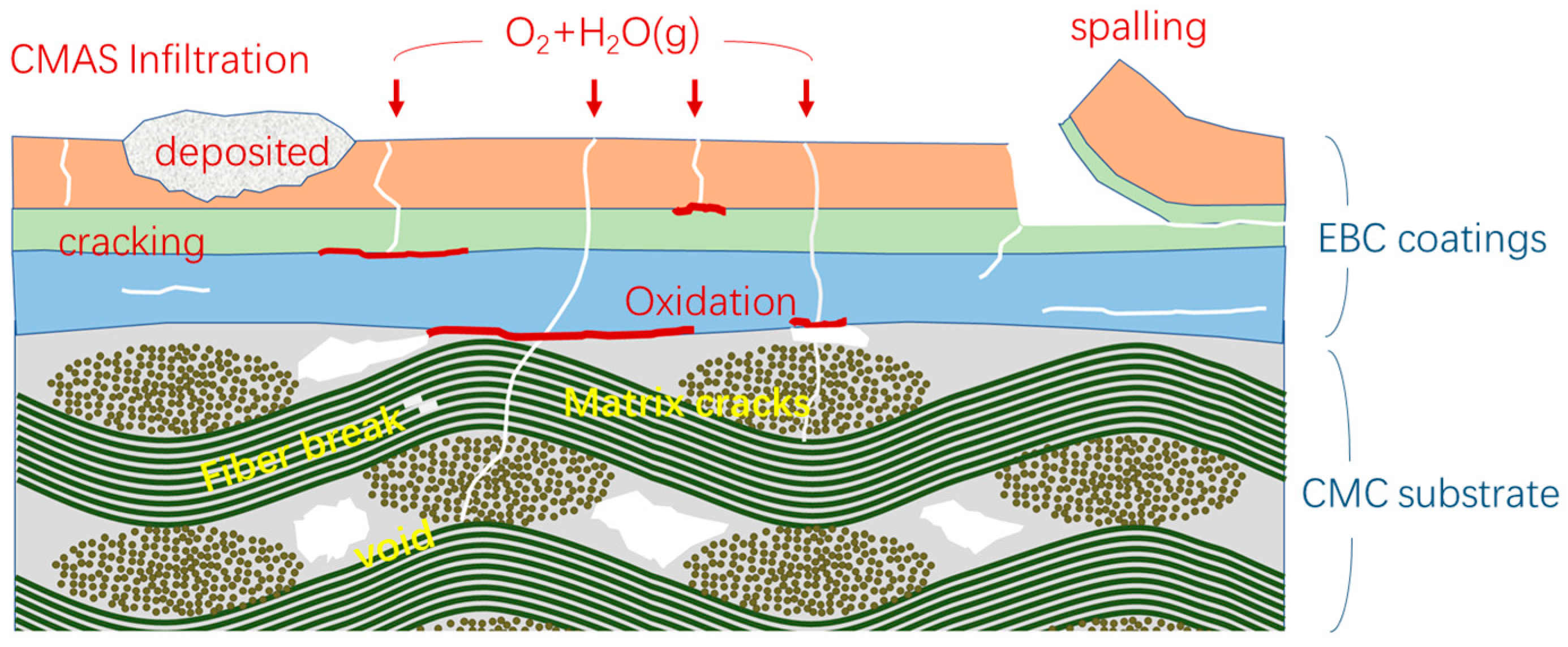 Coatings 13 00357 g005