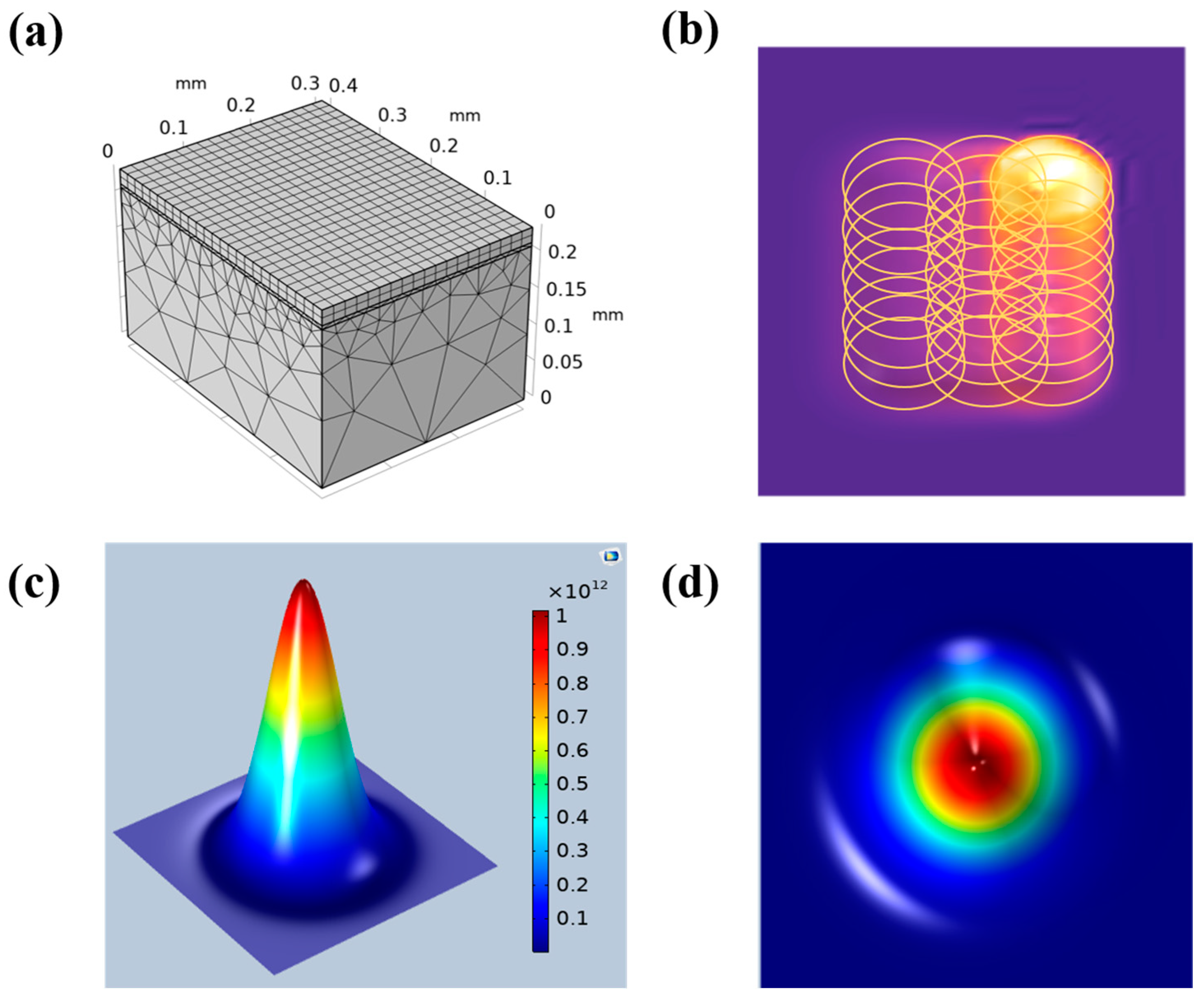 Coatings 13 00359 g002