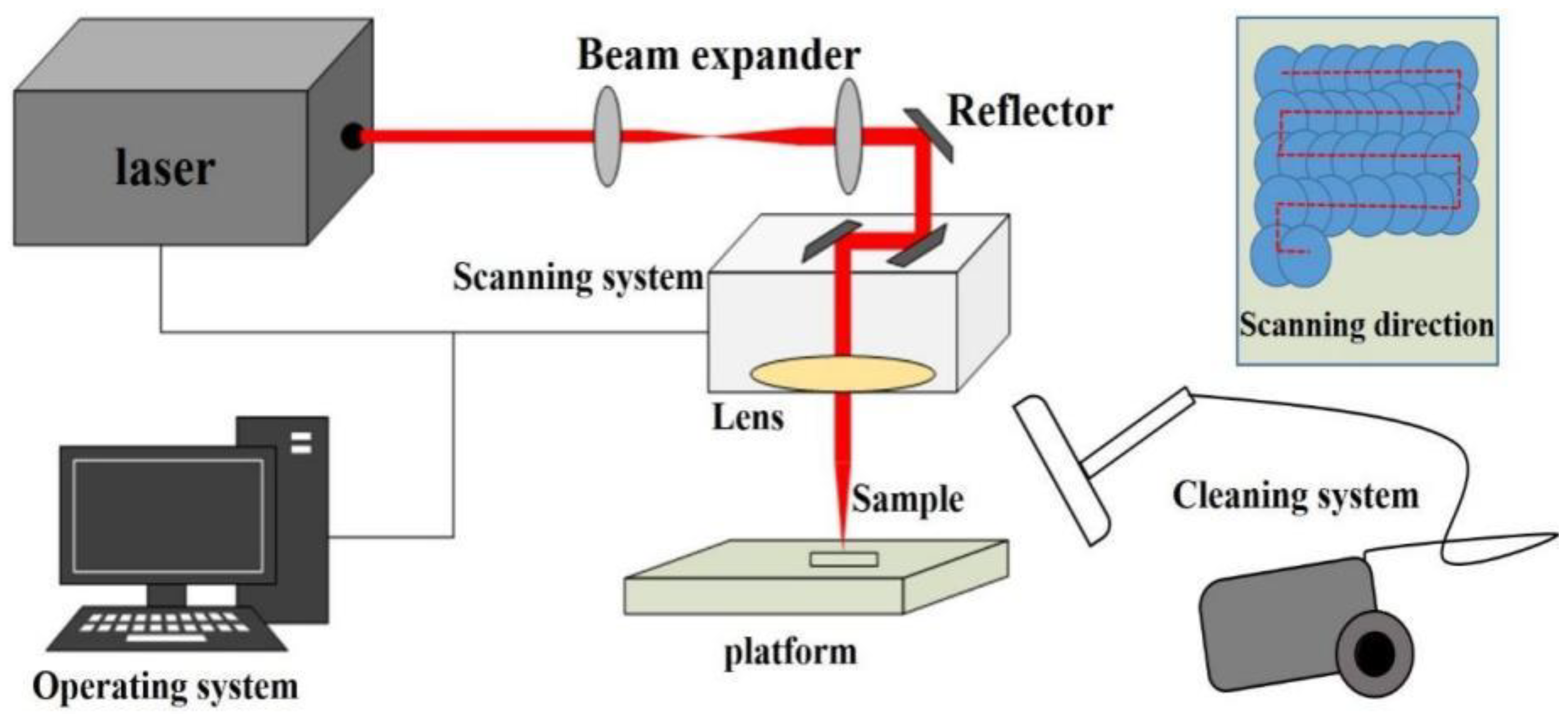 Coatings 13 00359 g003