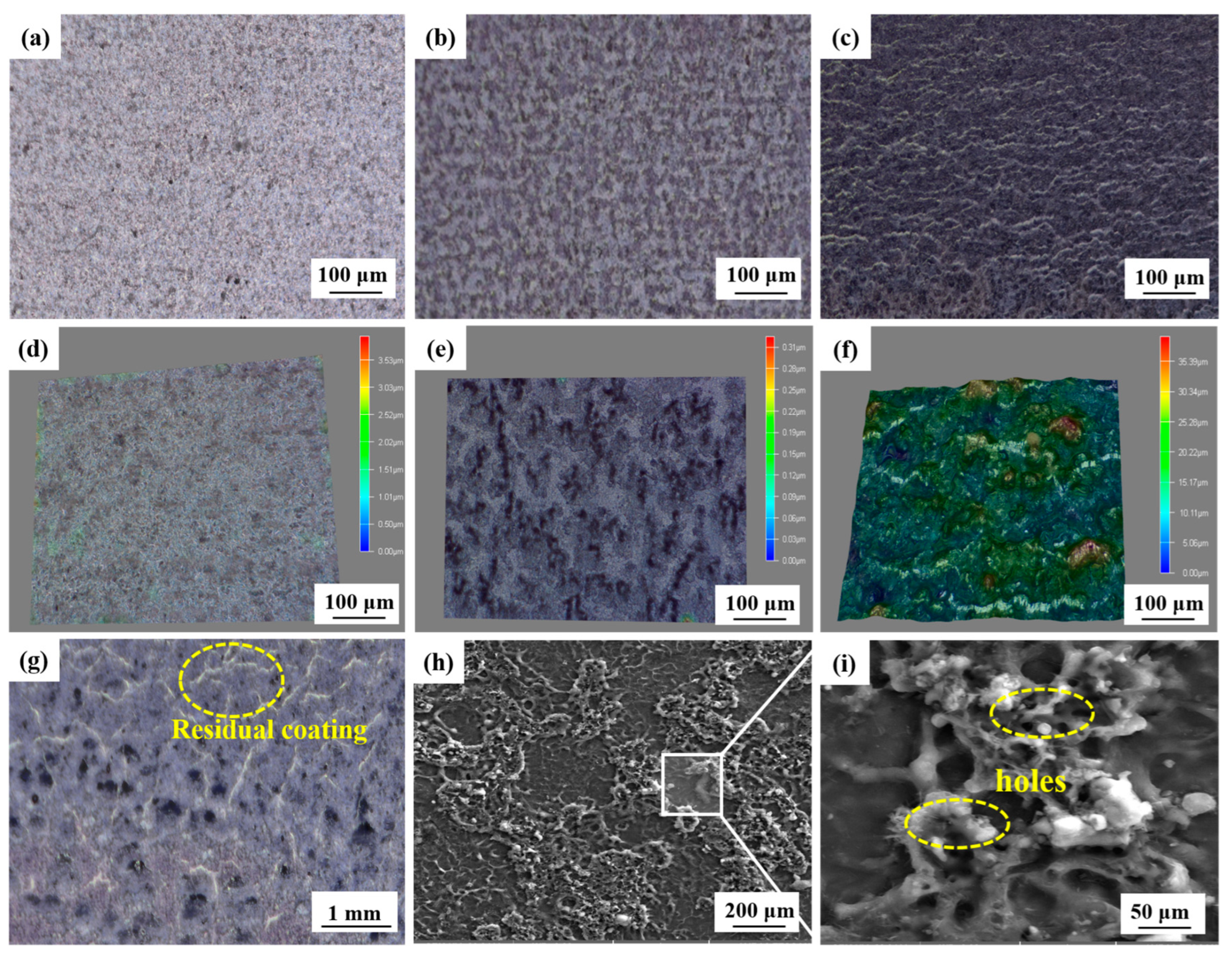 Coatings 13 00359 g008