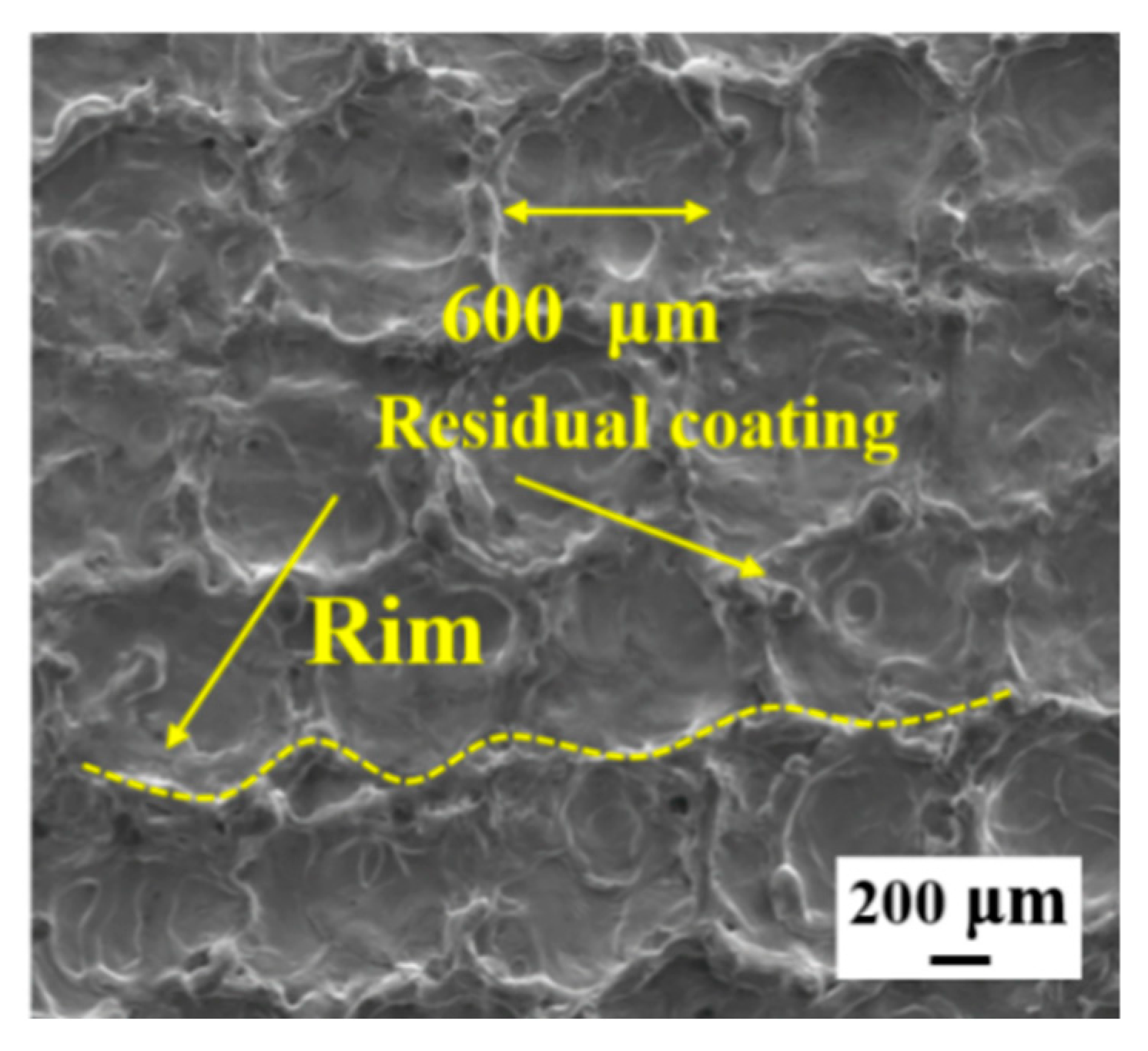 Coatings 13 00359 g010