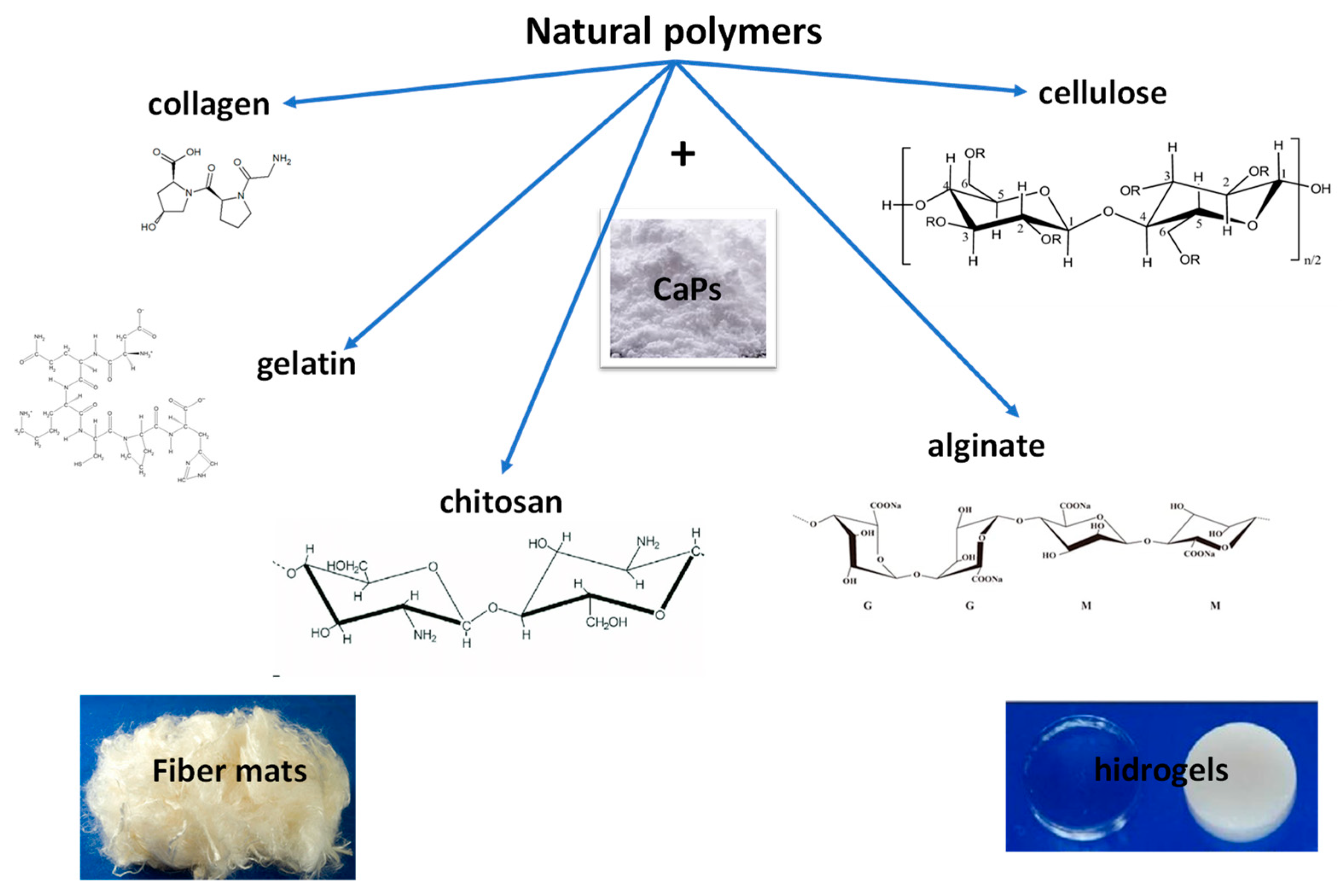 Coatings 13 00360 g002