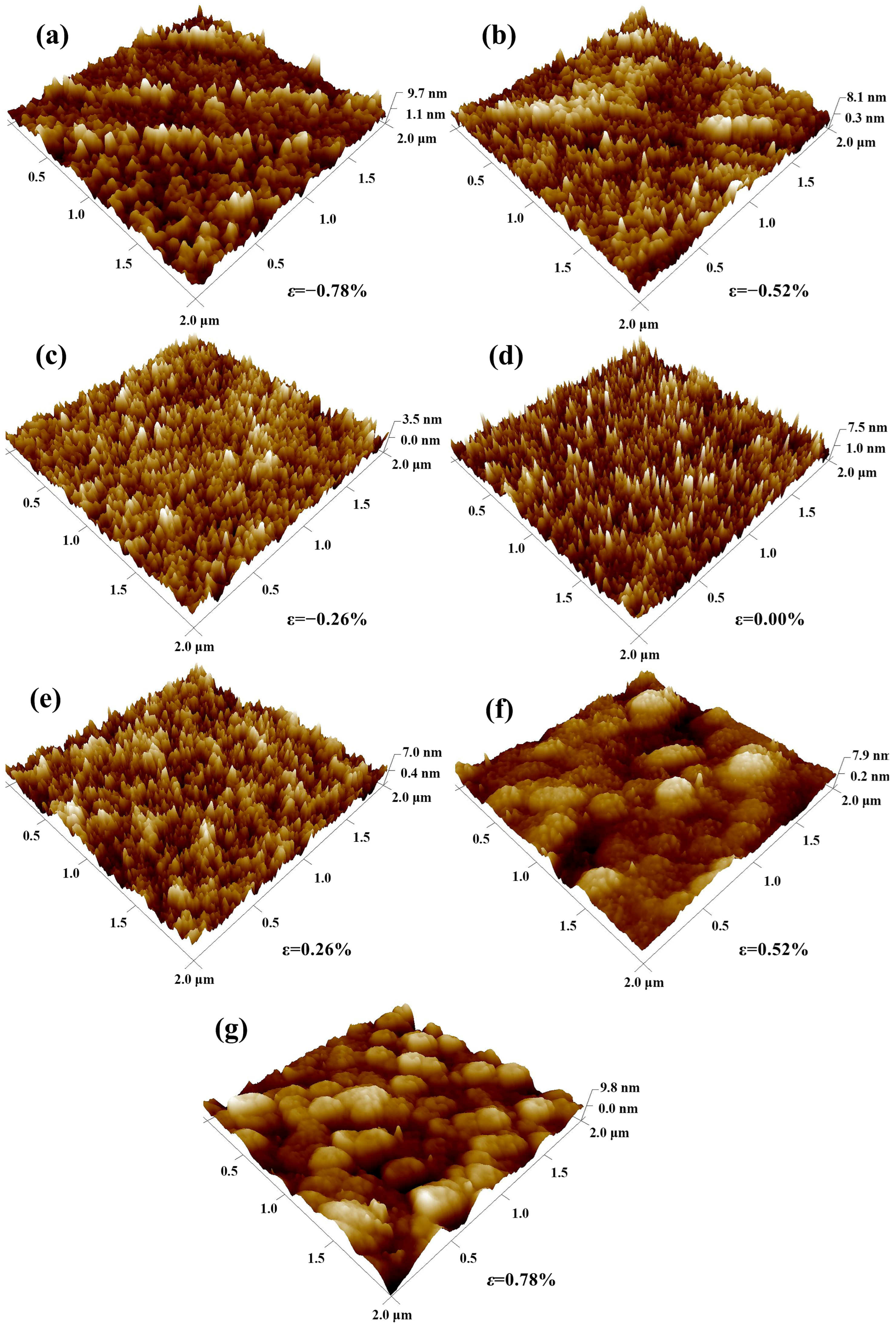 Coatings 13 00363 g002