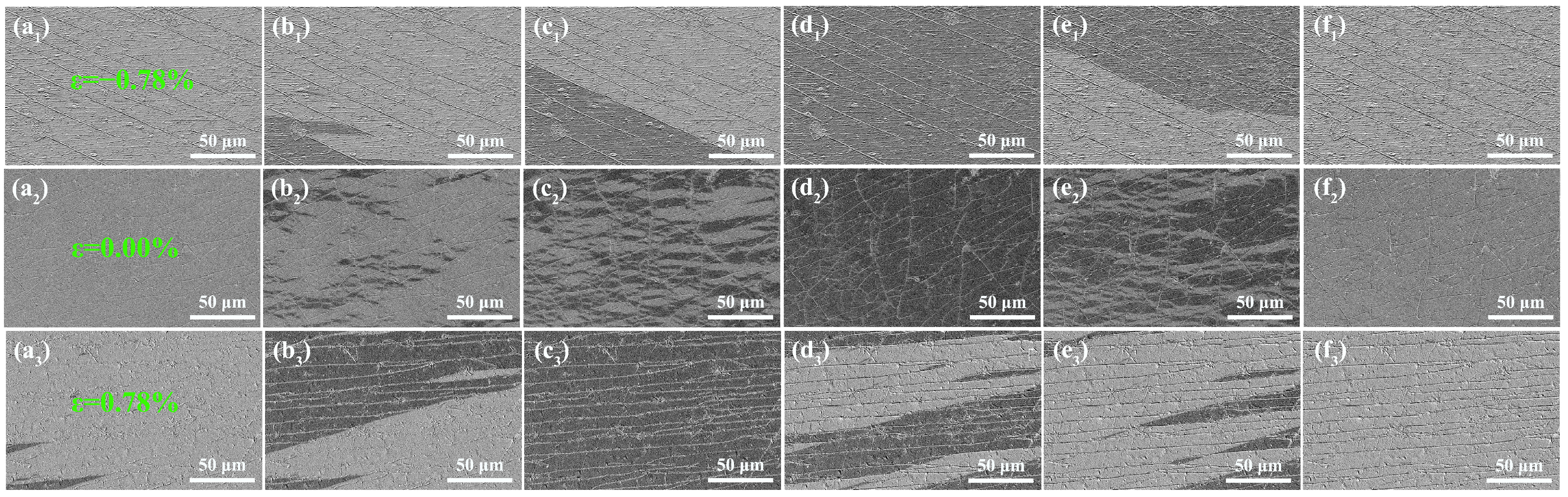 Coatings 13 00363 g007
