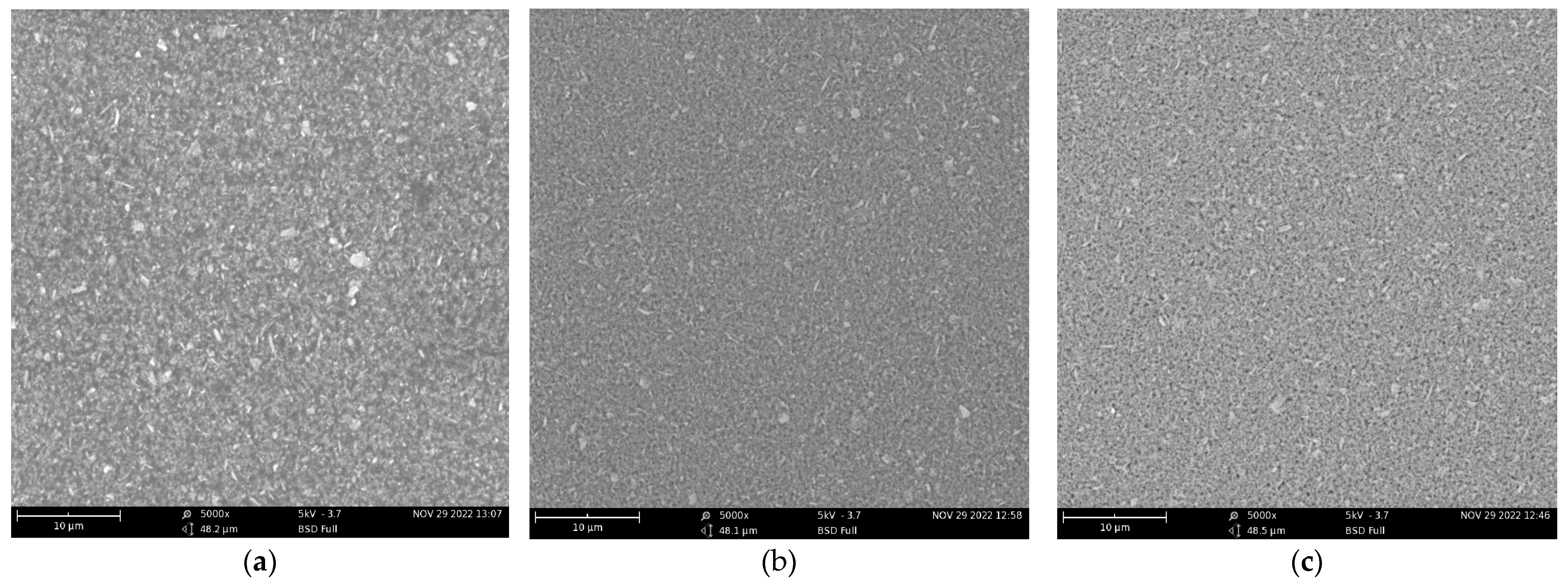 Coatings 13 00364 g002