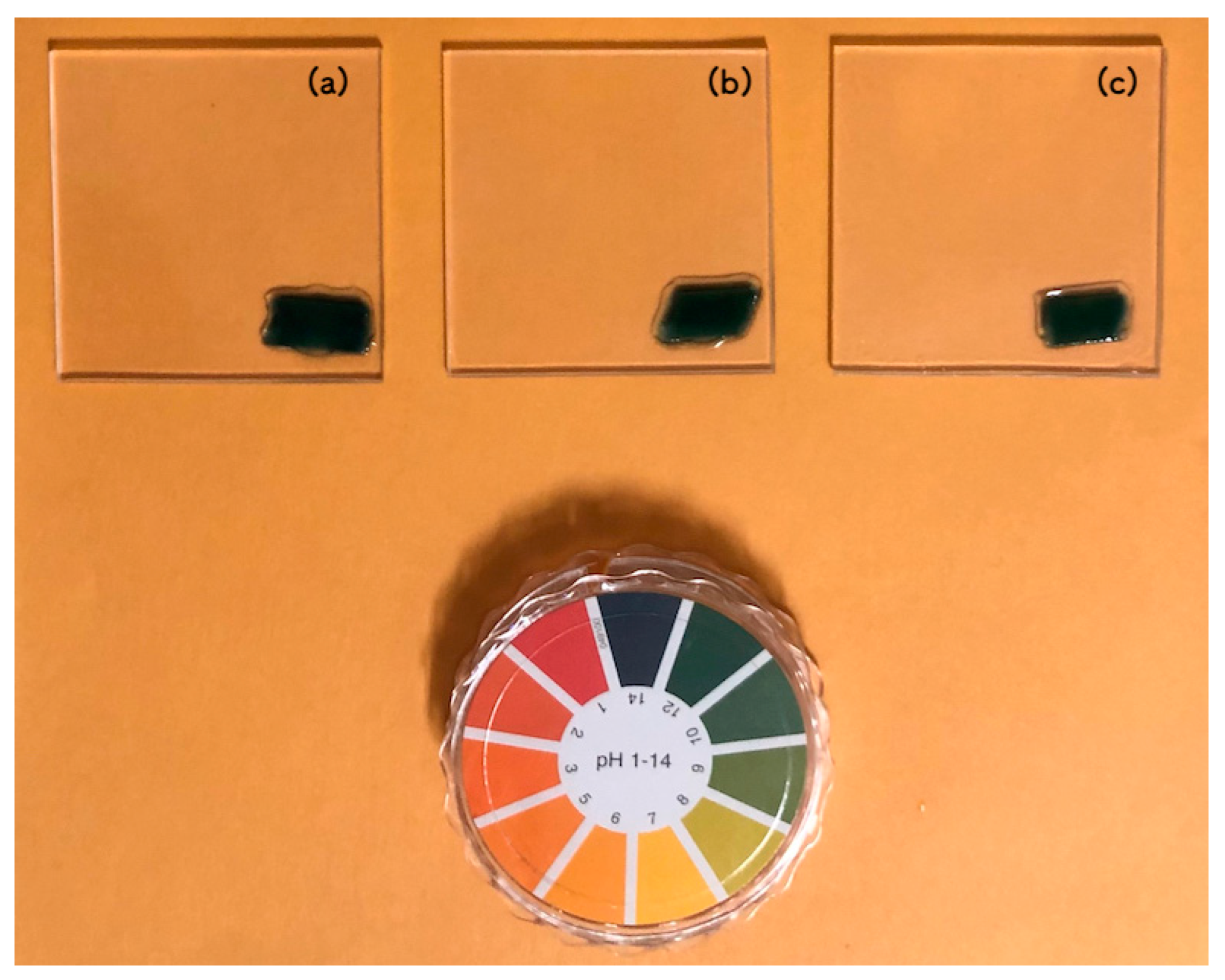 Coatings 13 00364 g006