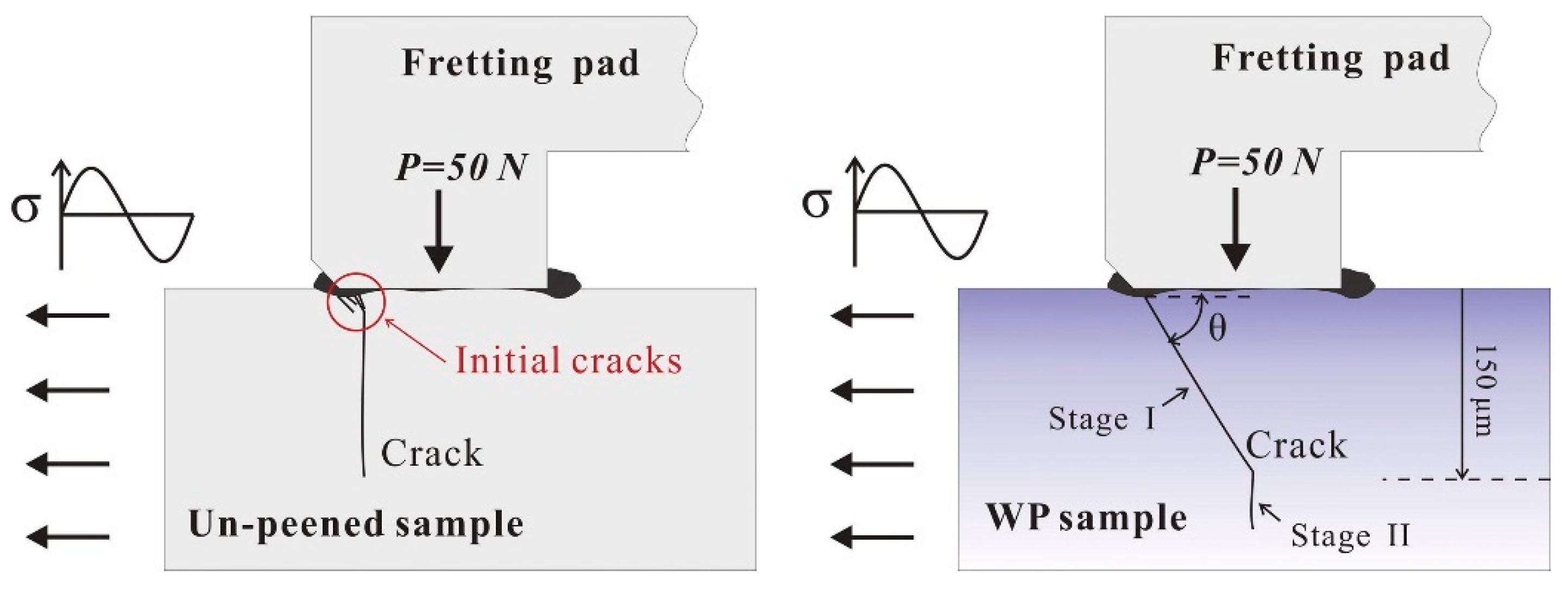 Coatings 13 00365 g011