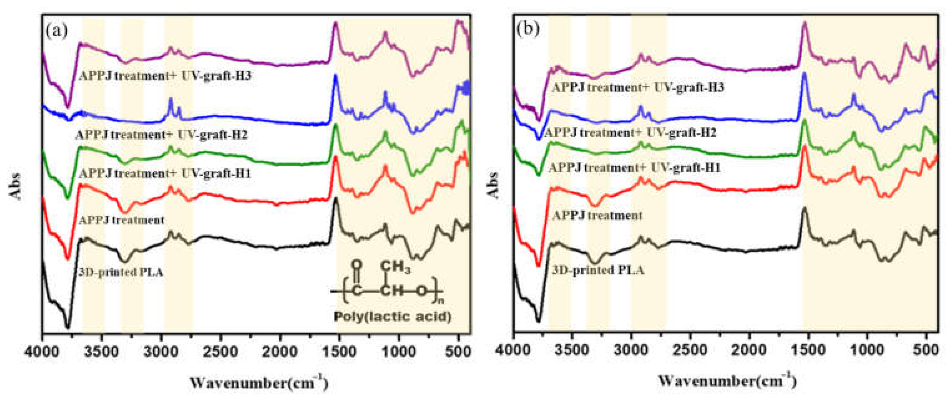 Coatings 13 00367 g002