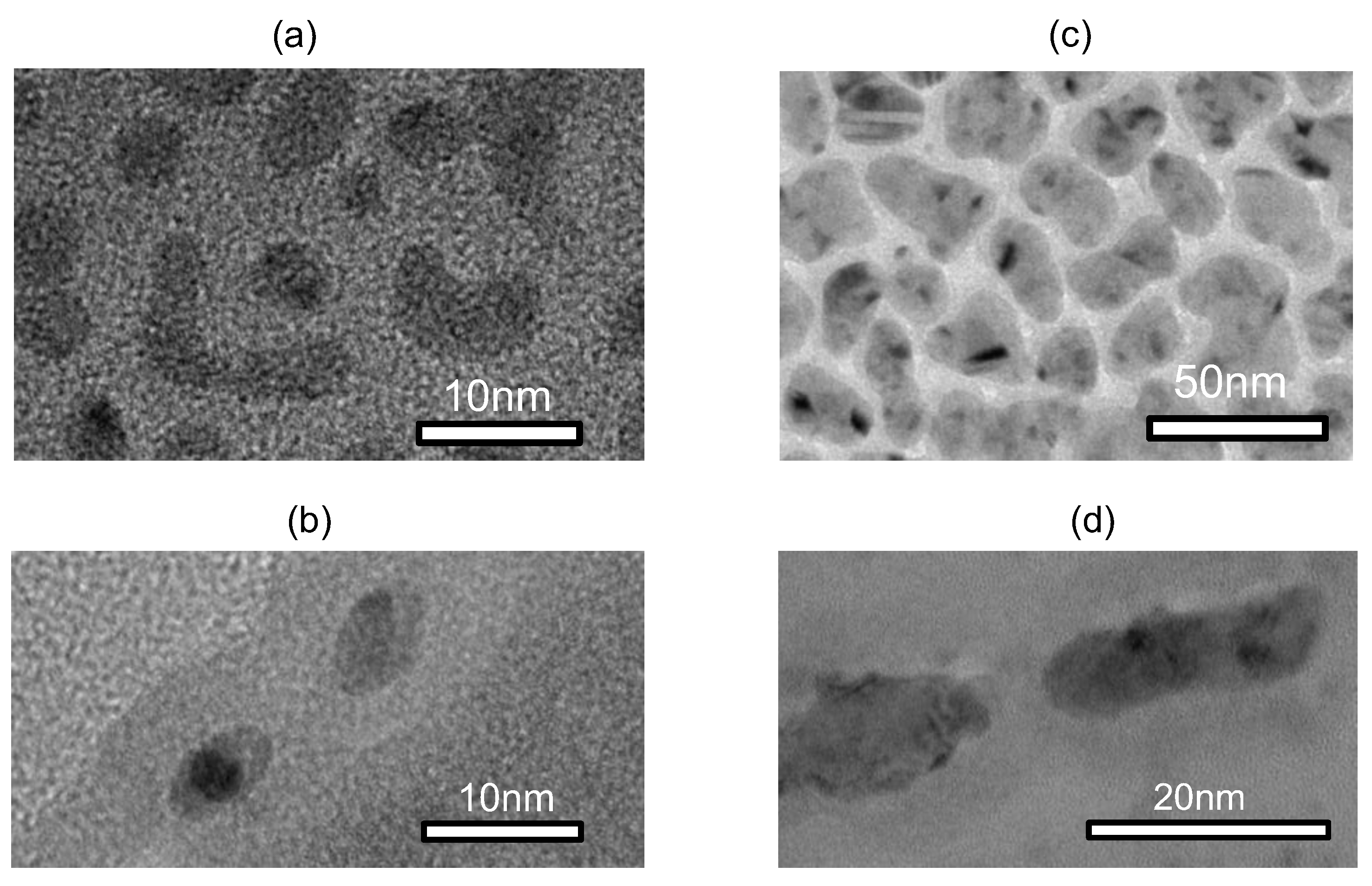 Coatings 13 00369 g031